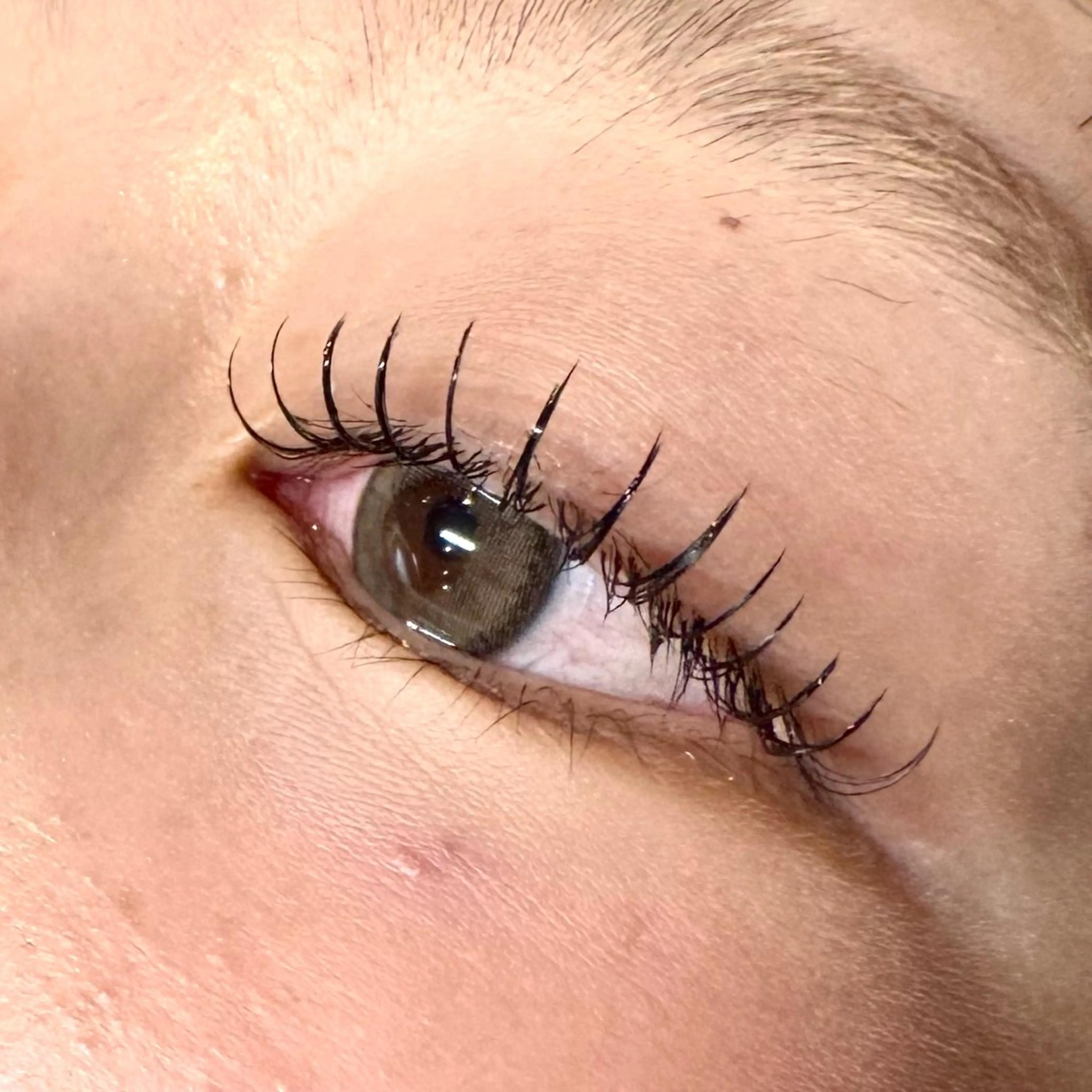 マツエク・マツパ Dカール フラットラッシュ マツエク diarblue鎌倉 🖤Reiのマツエク・マツパデザイン