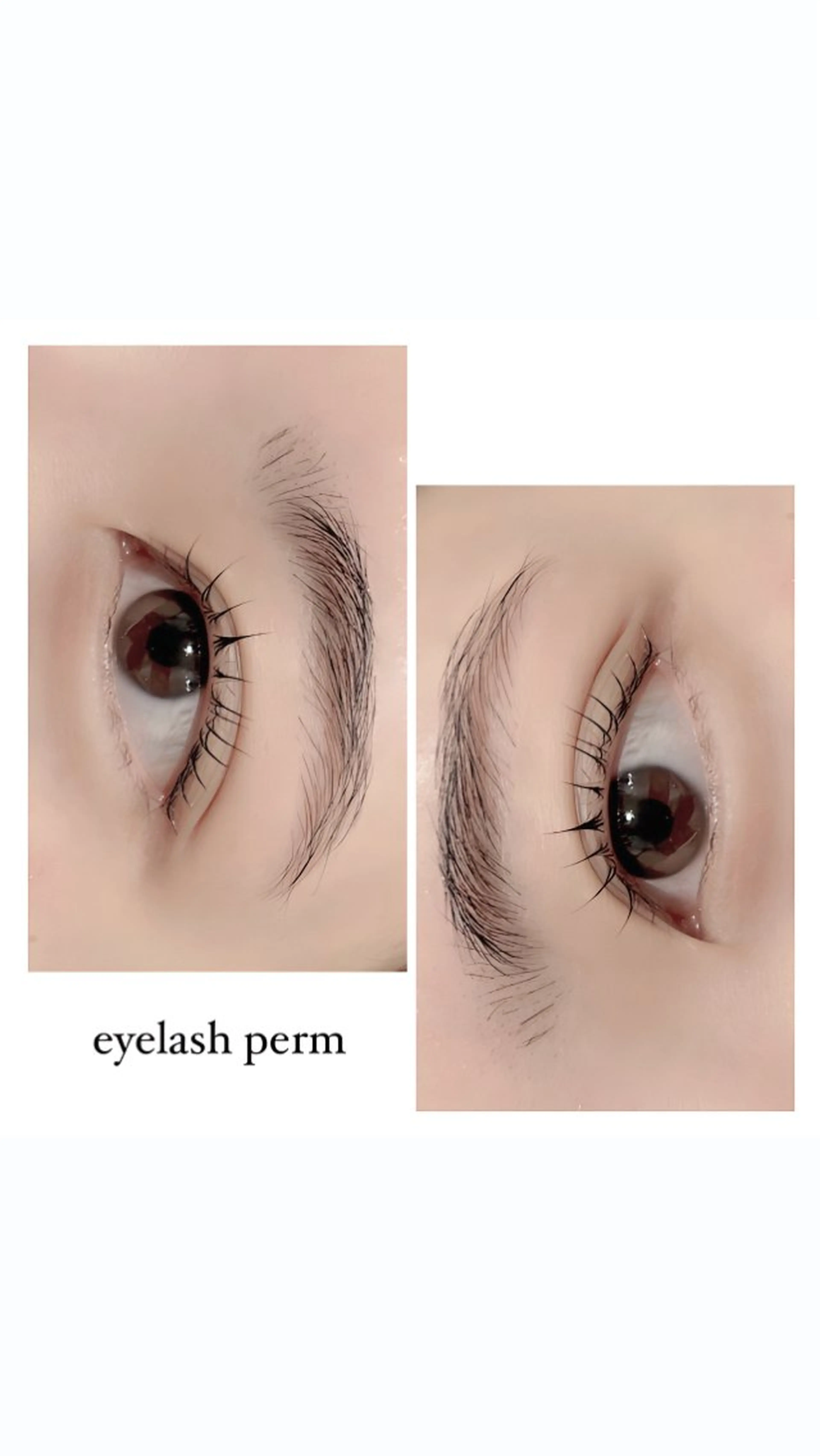 マツエク・マツパ まつ毛パーマ港南台/ MIYAHARAのマツエク・マツパデザイン