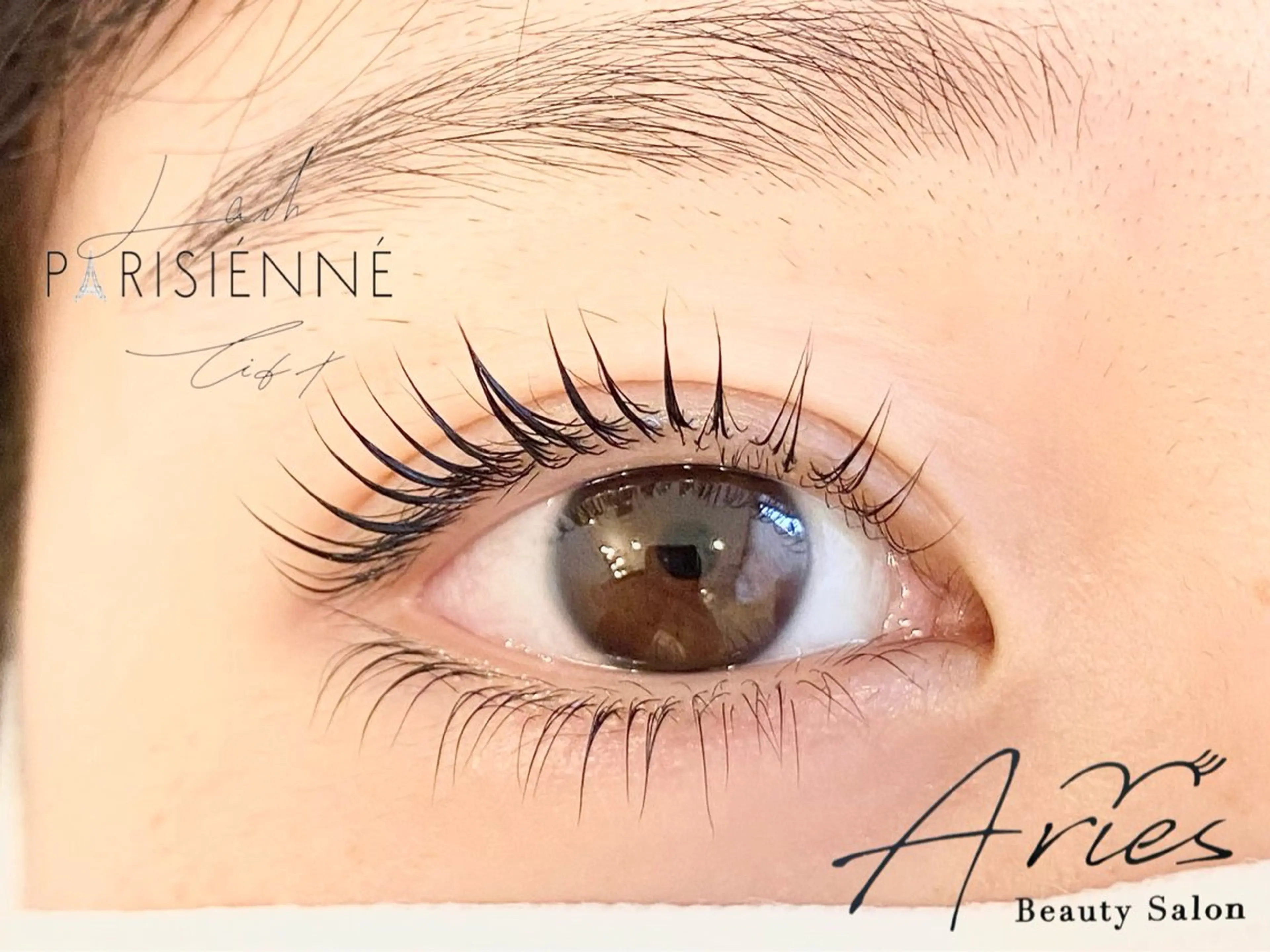 マツエク・マツパ Aries 恵比寿店所属・Aries/ 恵比寿のマツエク・マツパデザイン