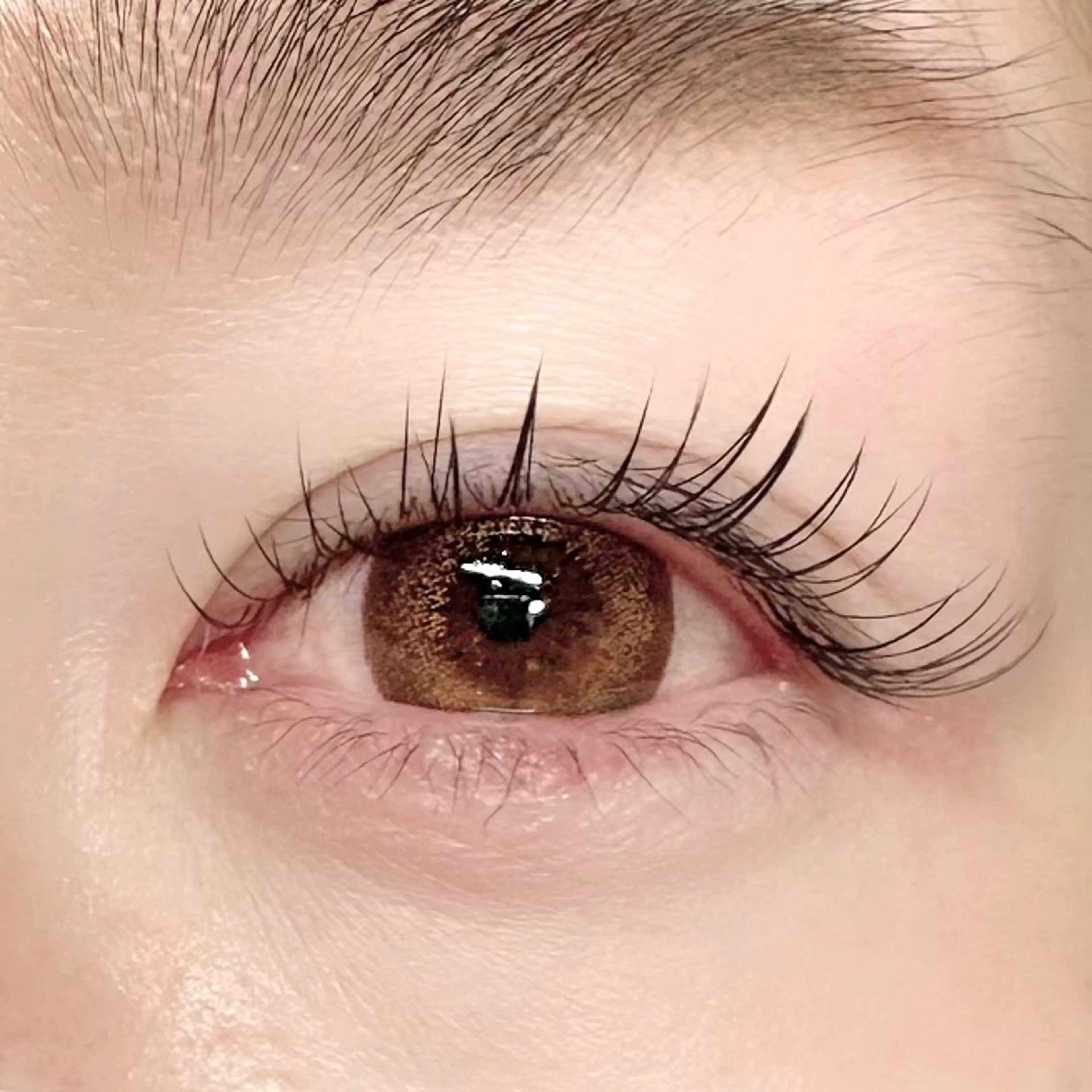 "他店オフあり"(120本) マツエク🌼フラットラッシュ🫧の写真