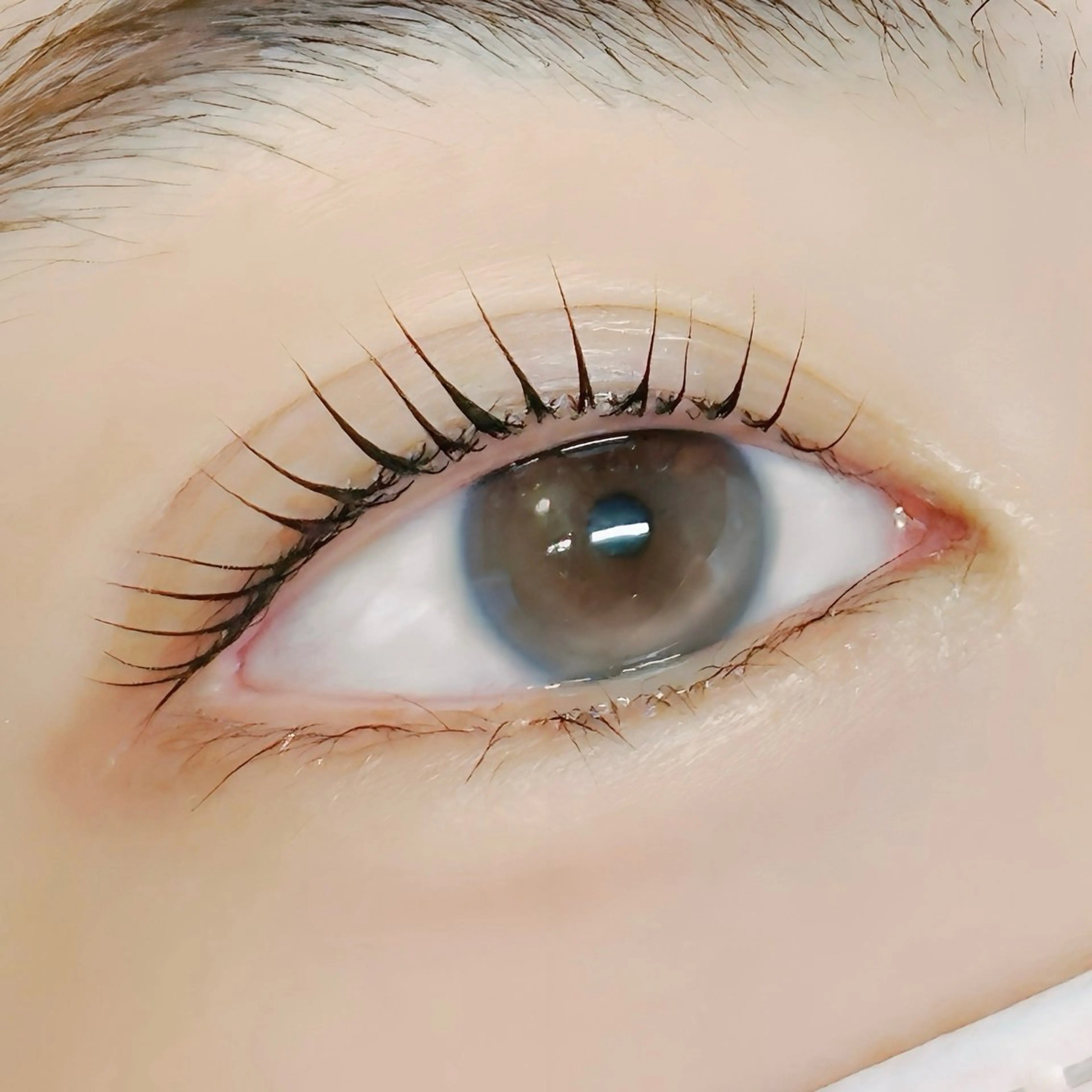 マツエク・マツパ 美容室OPTION所属・カズキ🪵 OPTIONのマツエク・マツパデザイン