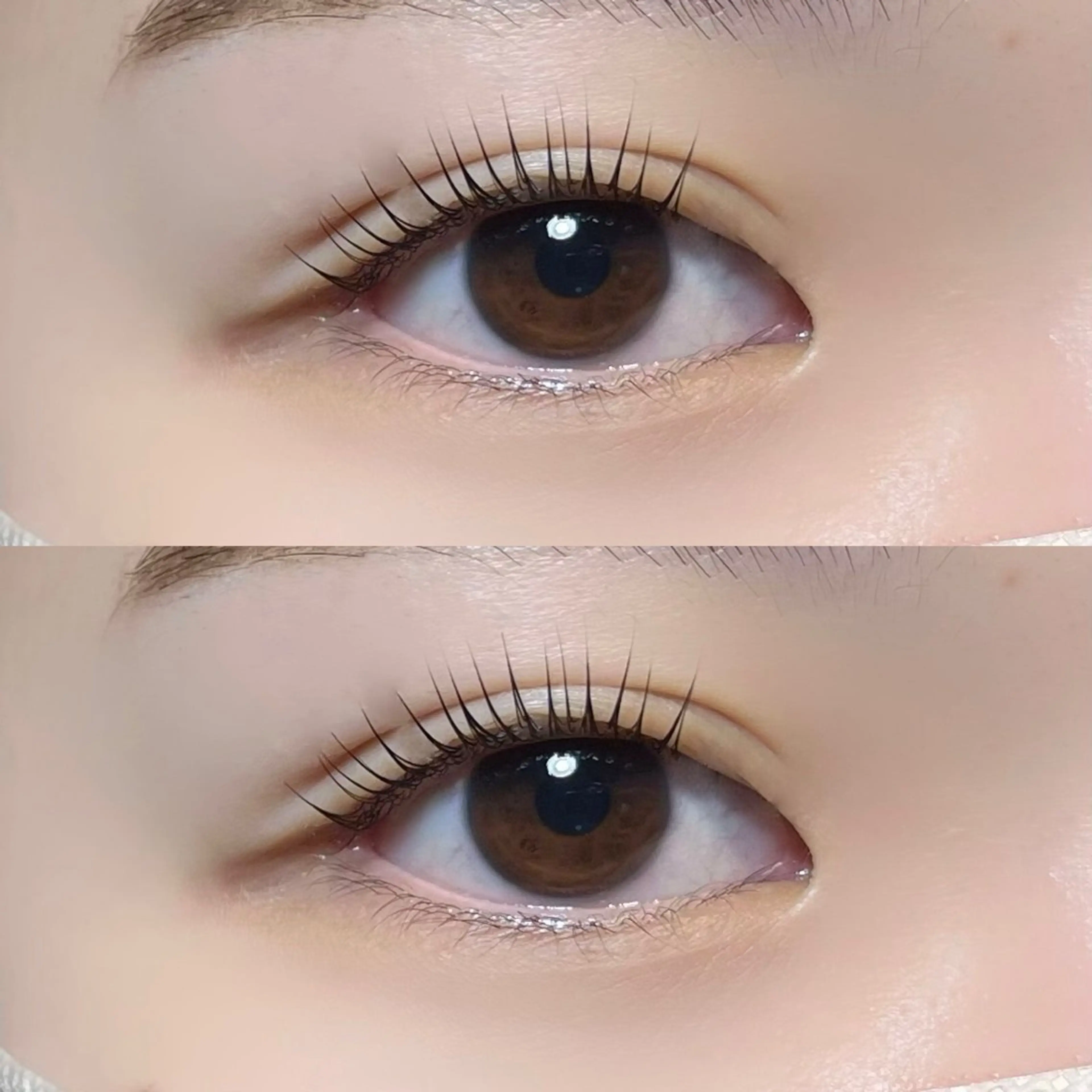 マツエク・マツパ 𝒆𝒊𝒈𝒉𝒕 杏花のマツエク・マツパデザイン