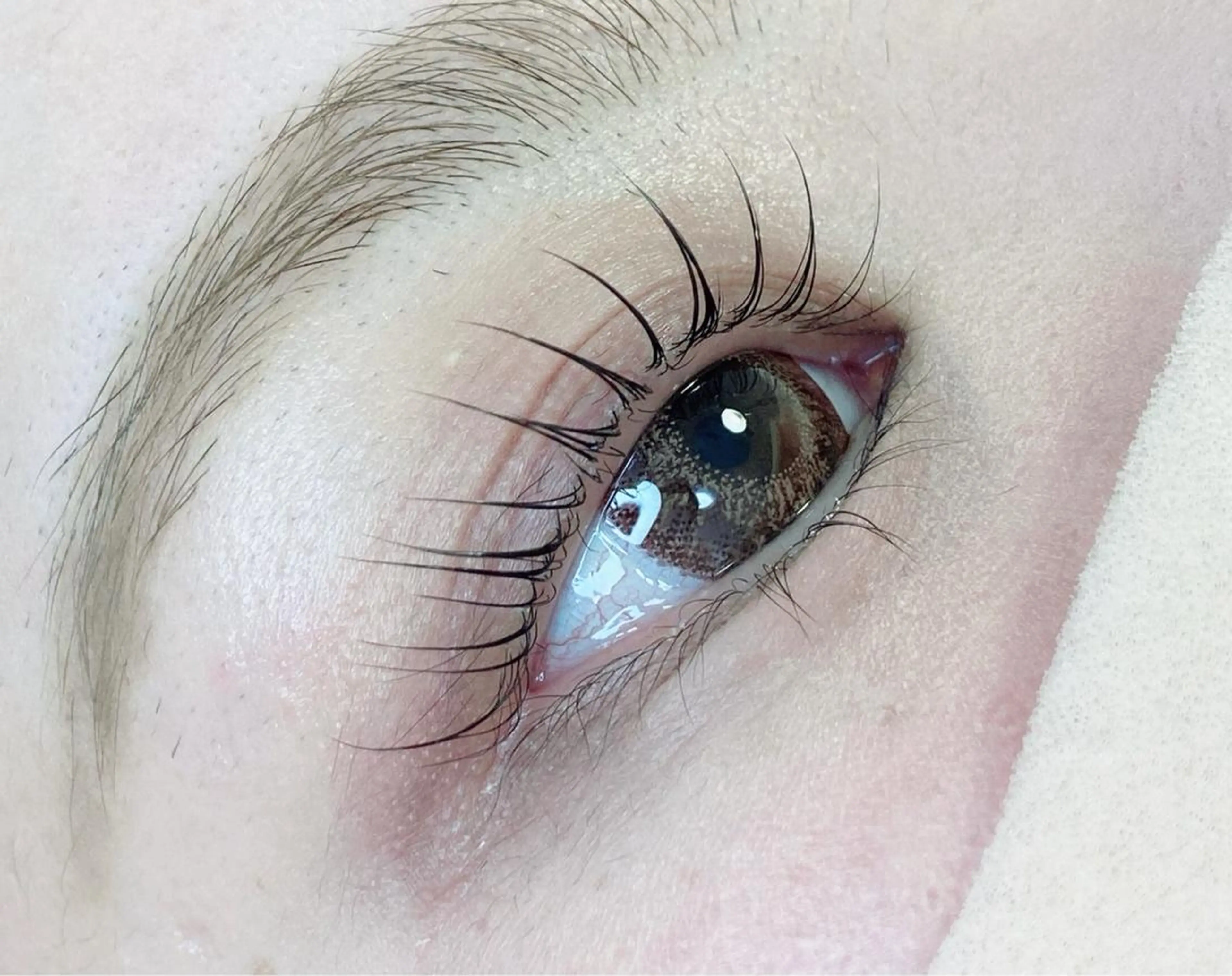 マツエク・マツパ マツパ Lotus所属・Lotus ロータスのマツエク・マツパデザイン