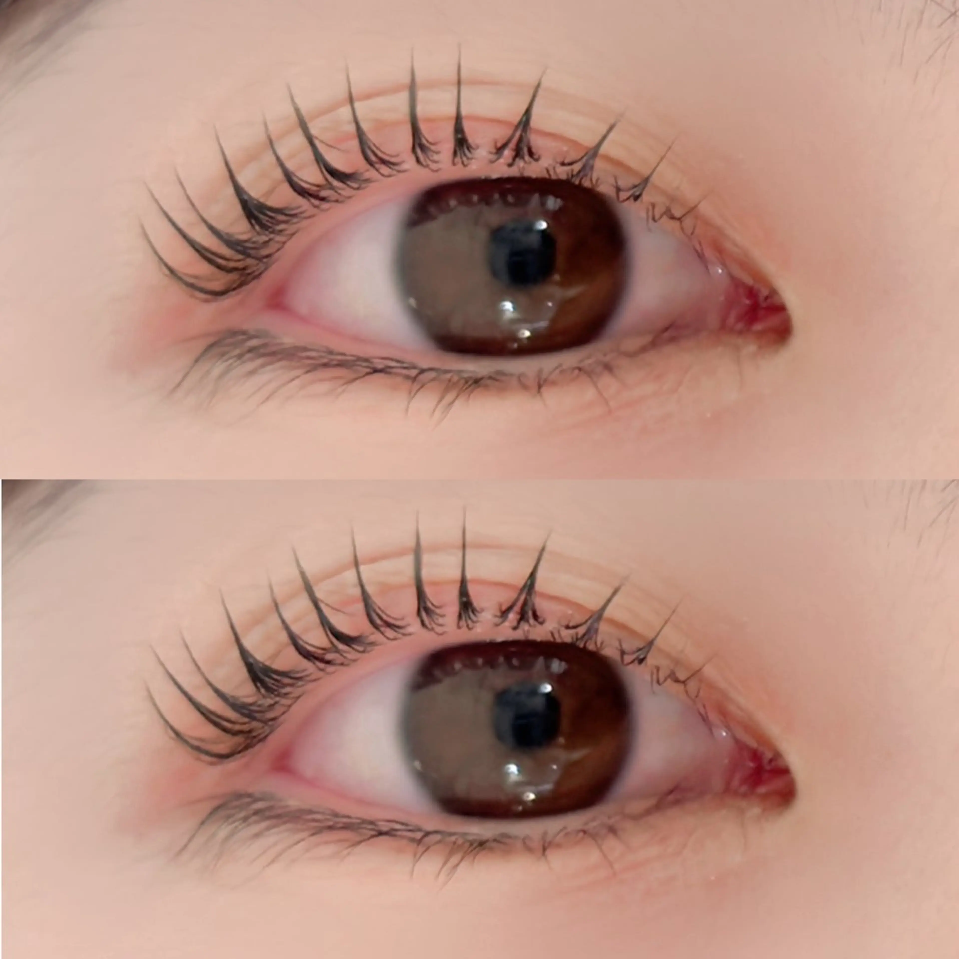 マツエク・マツパ マツパ Maazlash 5のマツエク・マツパデザイン