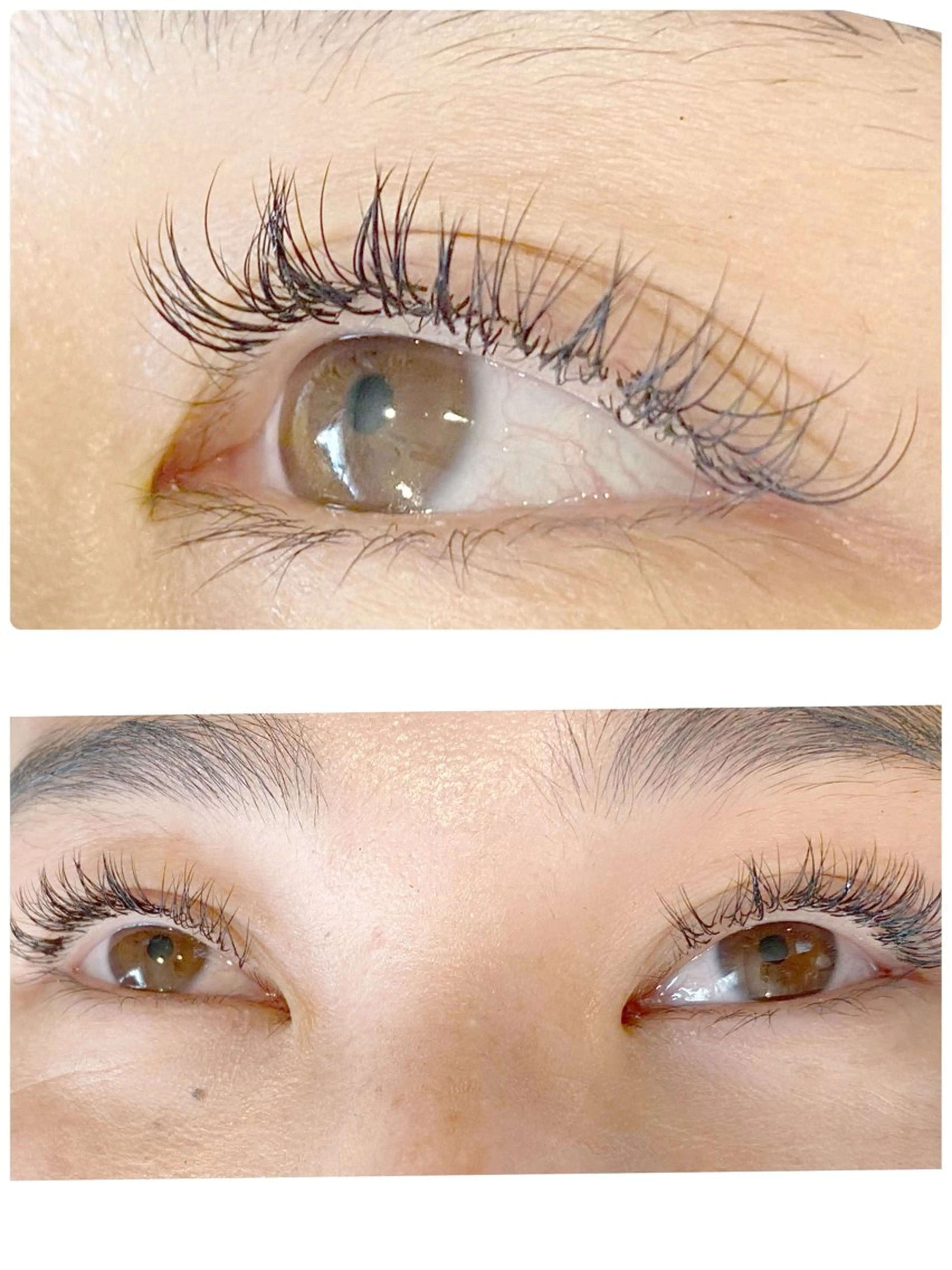 新規 フラットラッシュ120本の写真