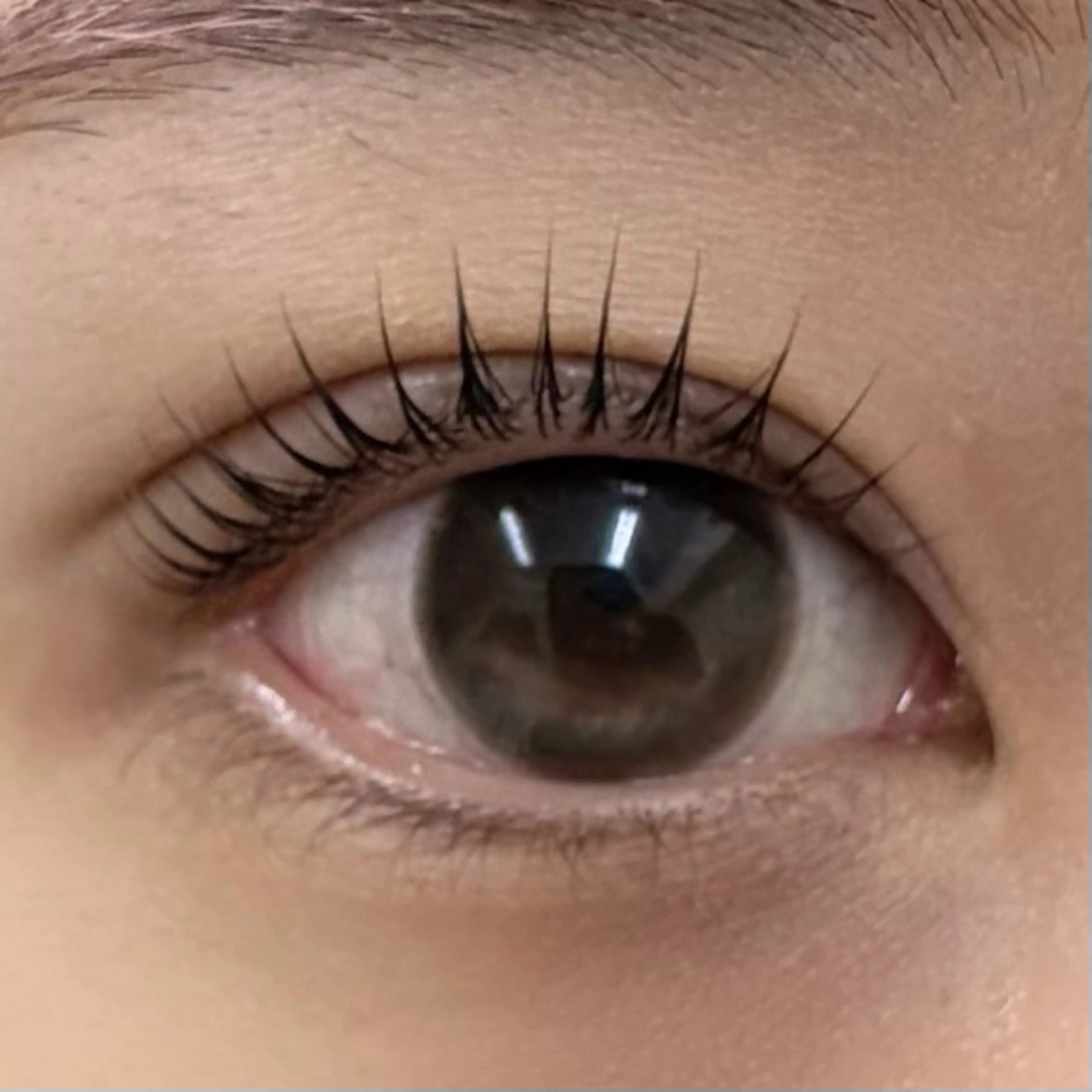 マツエク・マツパ マツパ 表参道駅徒歩2分🫧 まつげパーマ/Emiのマツエク・マツパデザイン