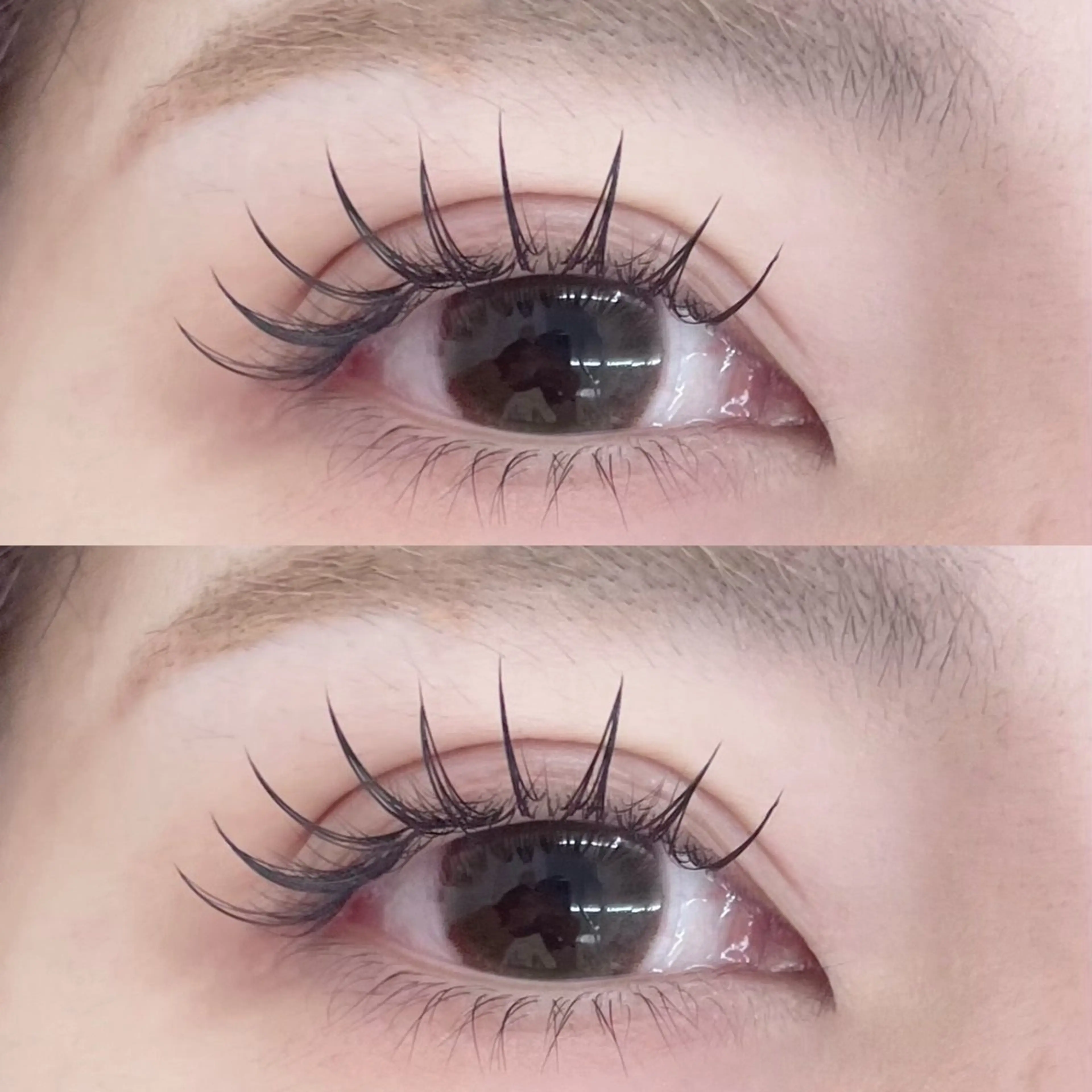 フラットラッシュ100本【オフ有】の写真