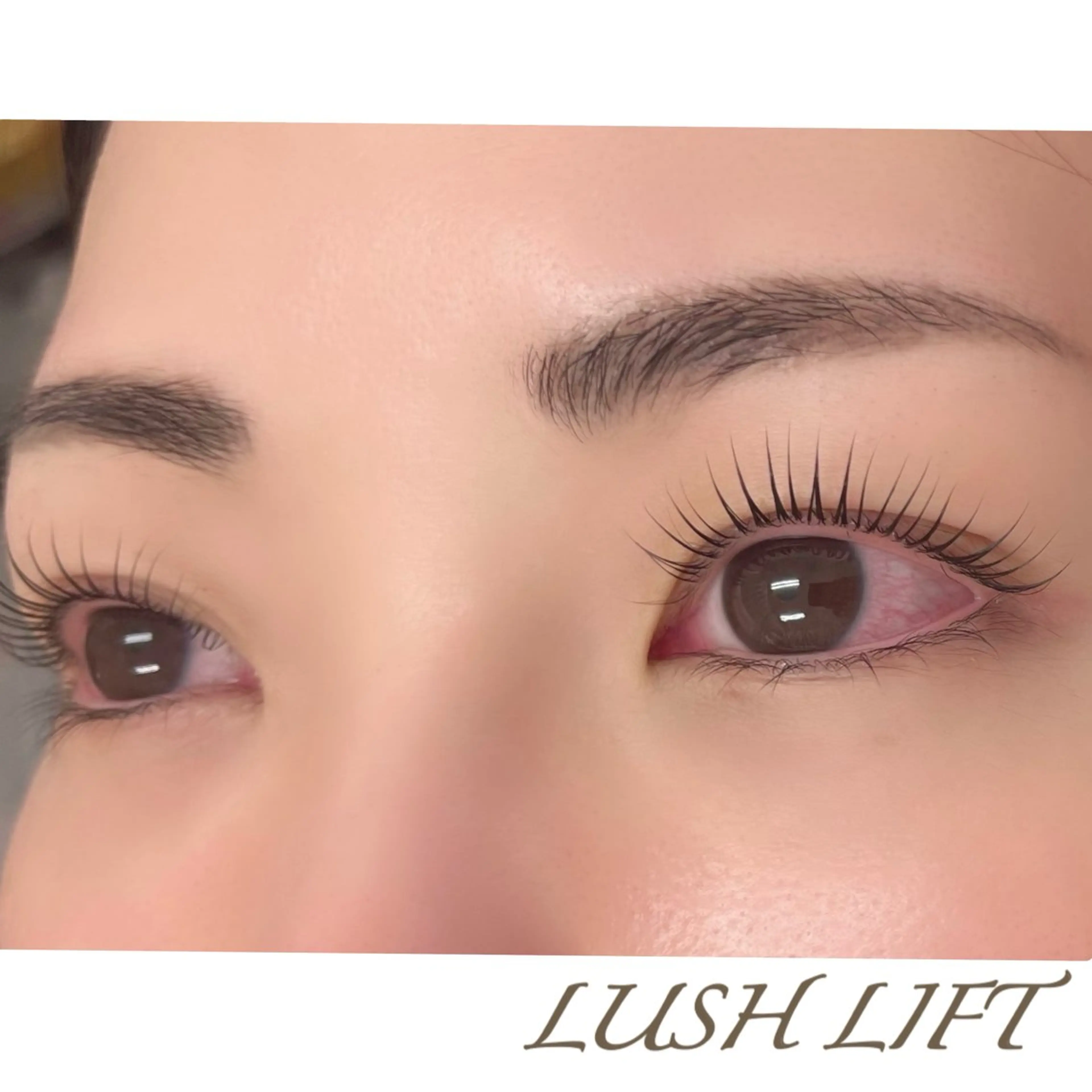 【初回限定】ラッシュリフト(撮影OKな方)の写真