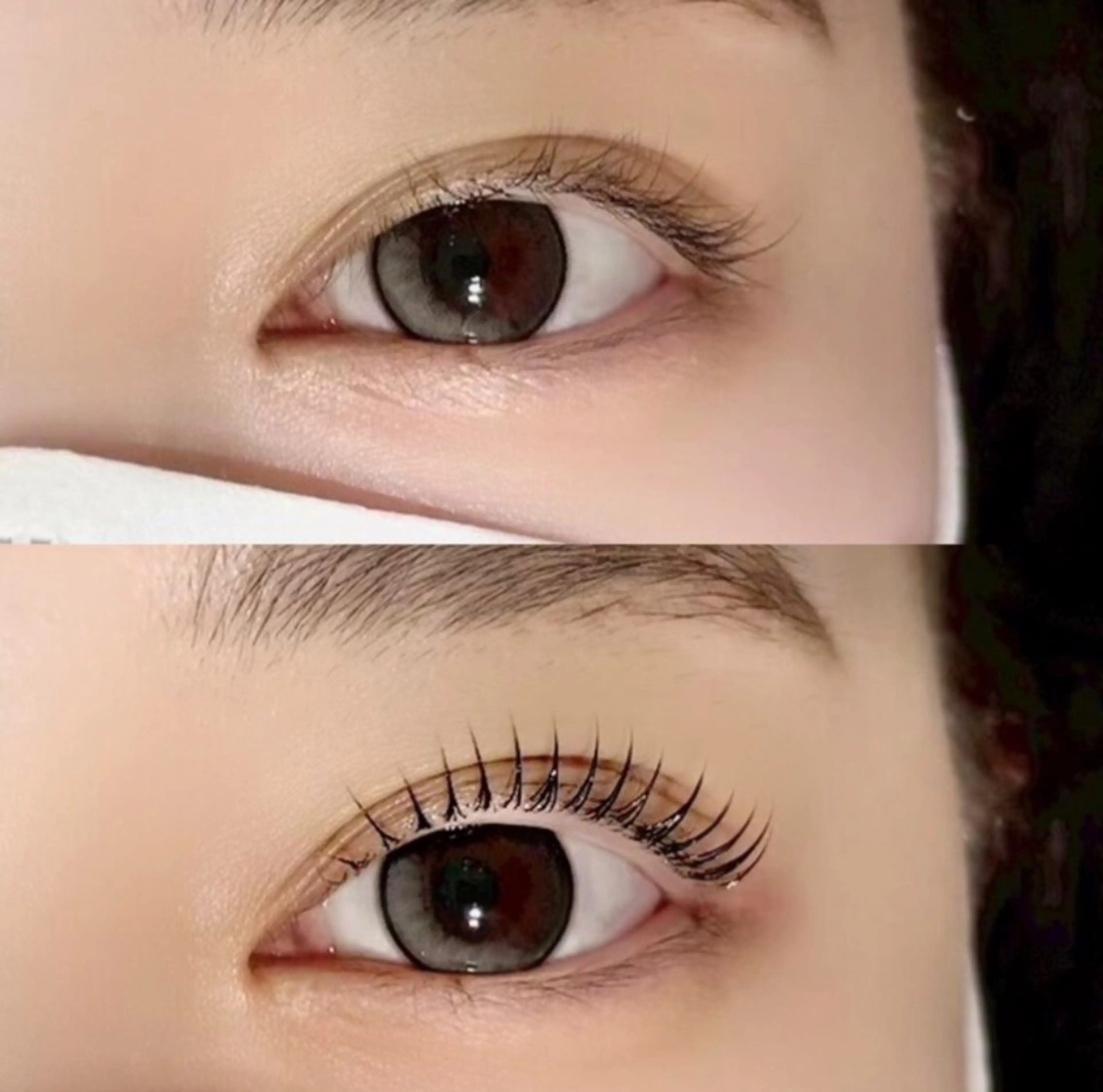【平日2枠限定】まつげパーマ or パリジェンヌの写真