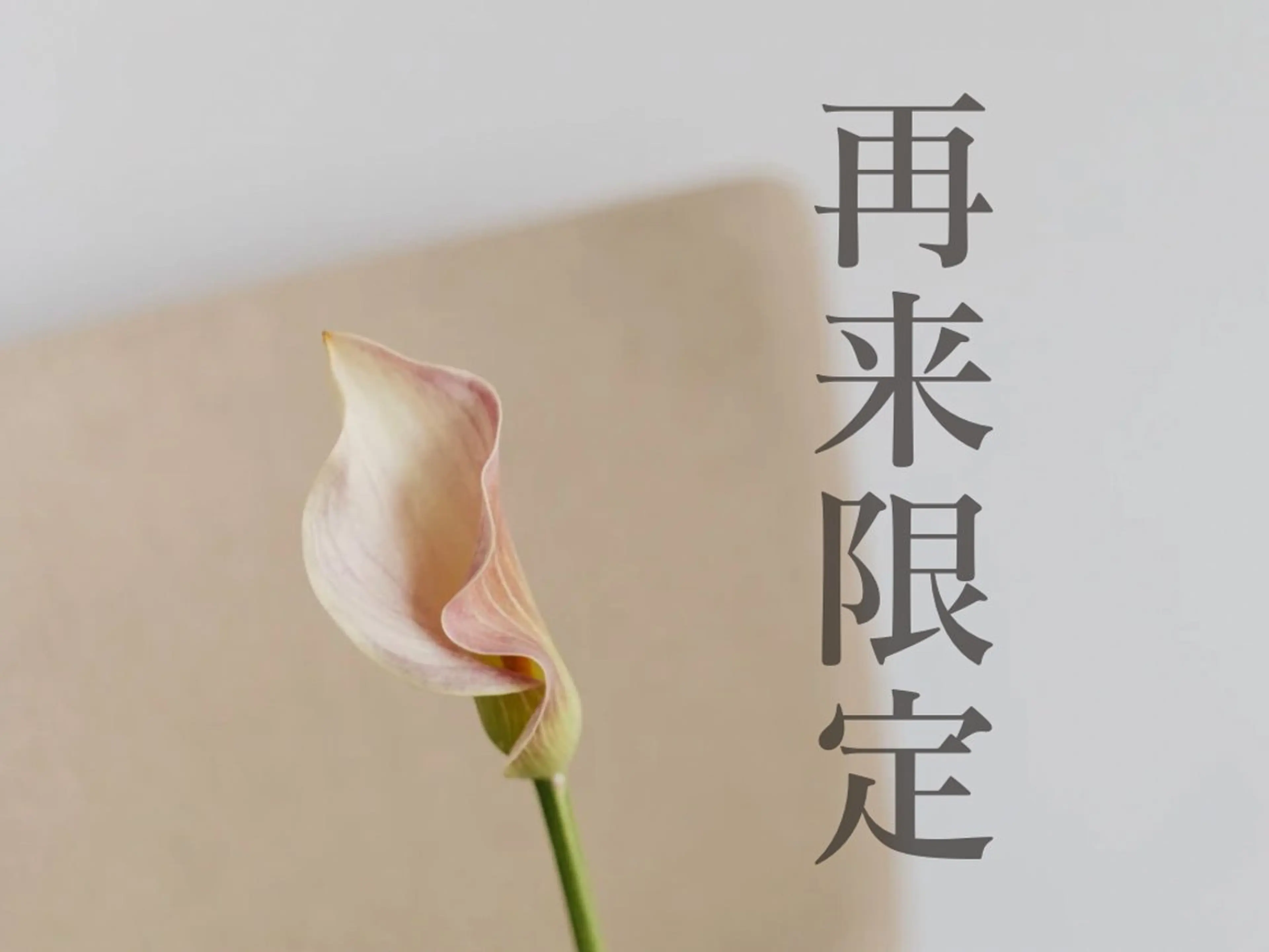 高岳/新栄町 yuu🌼の眉毛・アイブロウイメージ