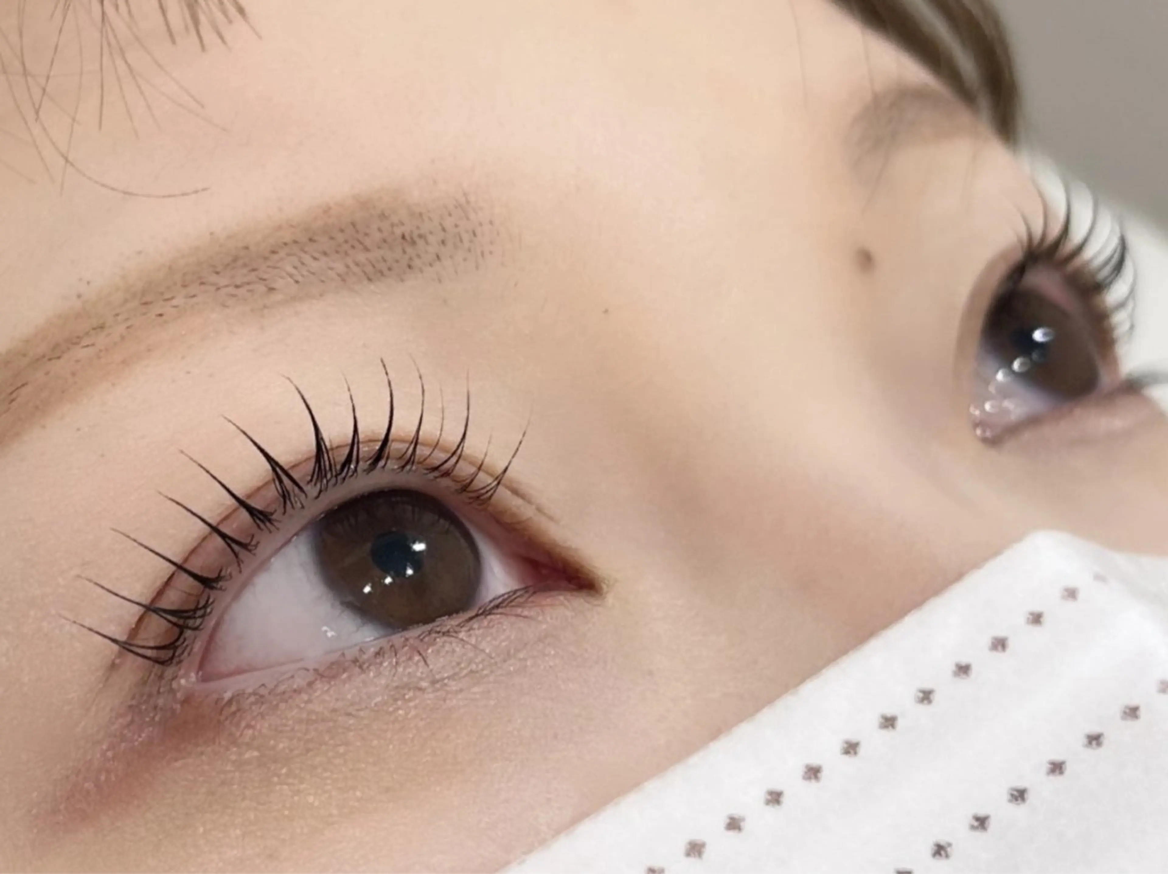 マツエク・マツパ 束感まつ毛 韓国風マツエク まつげパーマ 一重×まつ毛パーマ Linoa yuriの眉毛・アイブロウイメージ