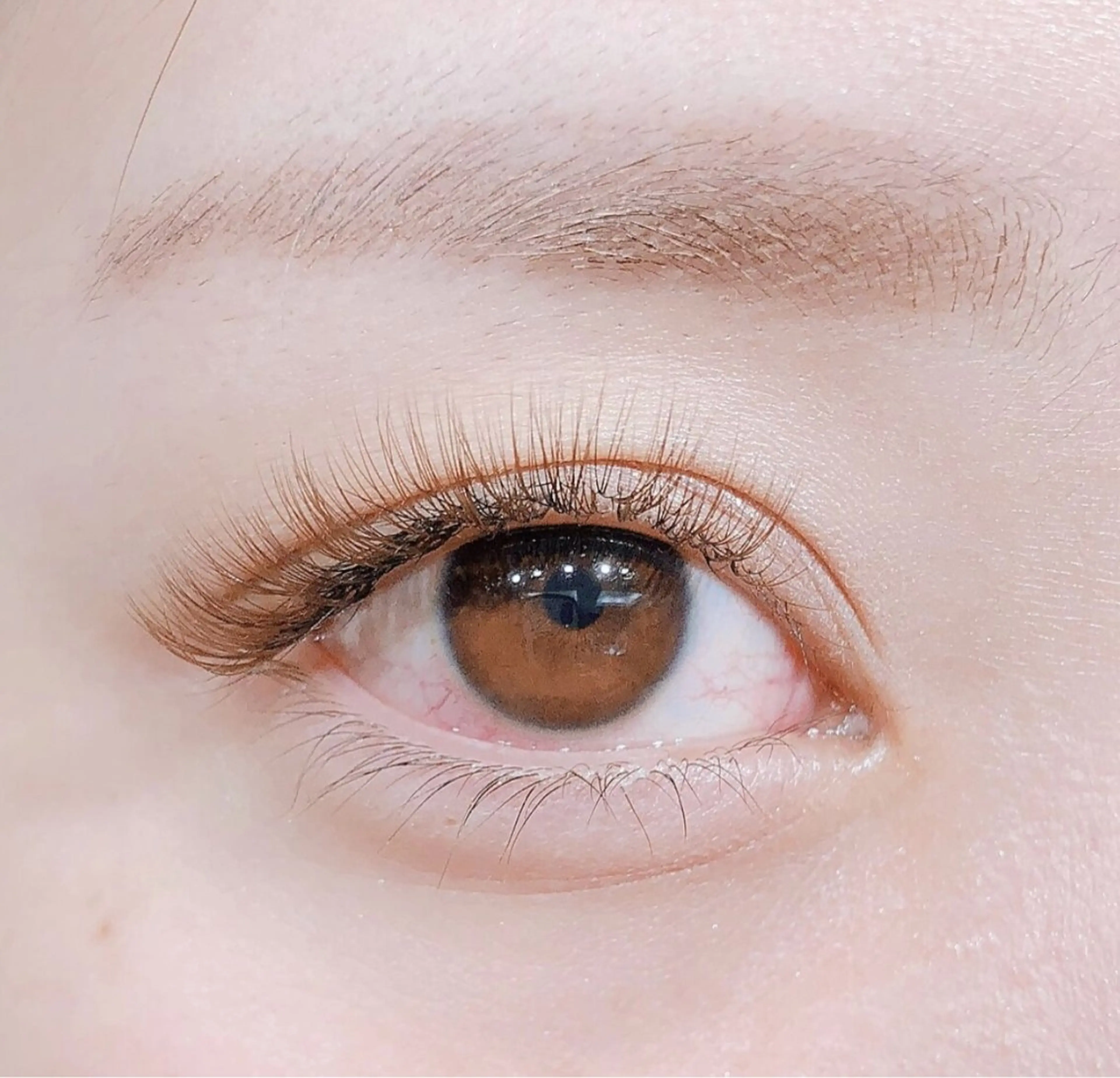 マツエク・マツパ カラーマツエク ボリュームラッシュ RAND.N(ヘアースペースCarm内)所属・RAND.N紫波店 /鳥内礼奈のマツエク・マツパデザイン