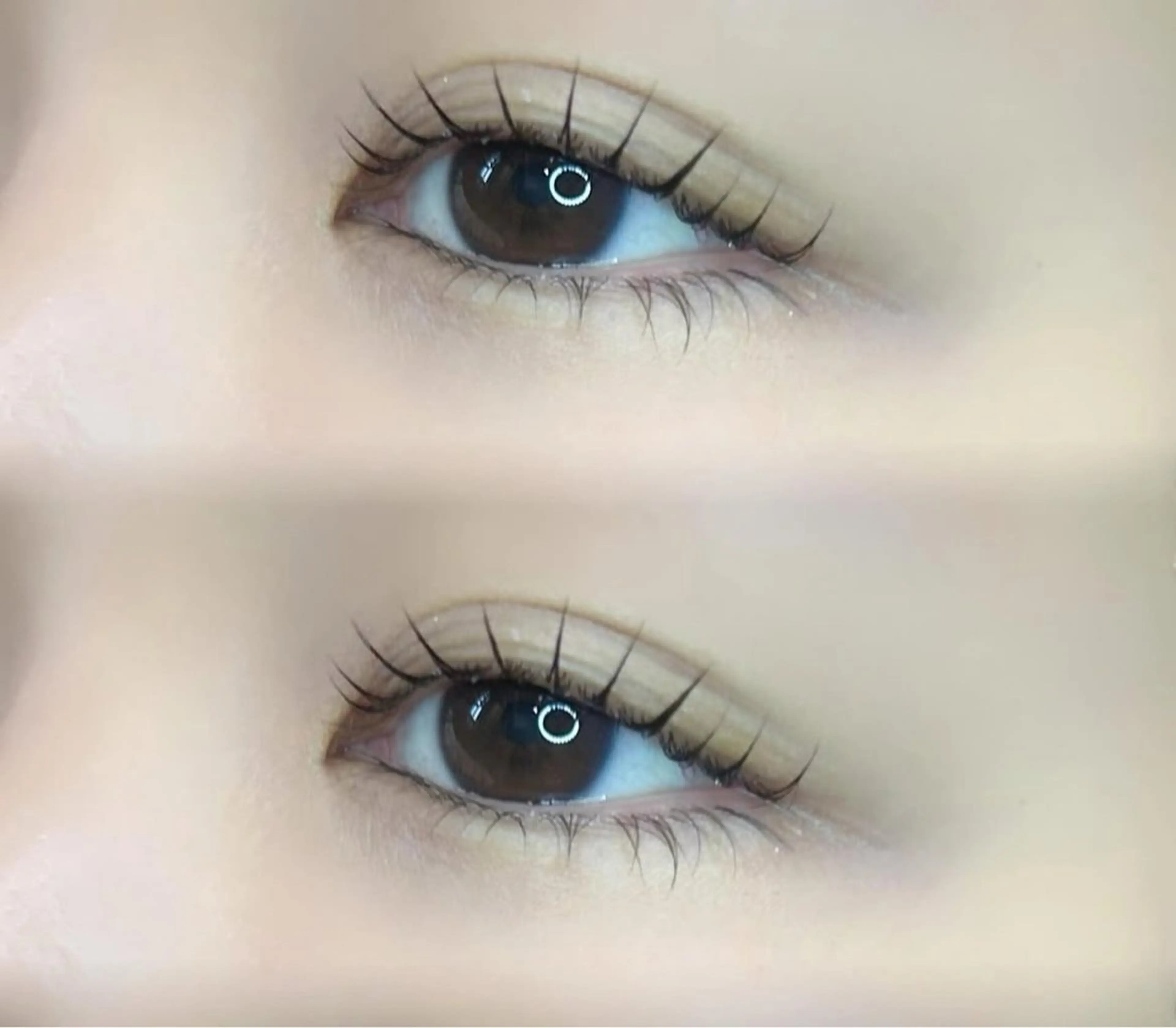 マツエク・マツパ 🍀fein. sakura🍀の眉毛・アイブロウイメージ