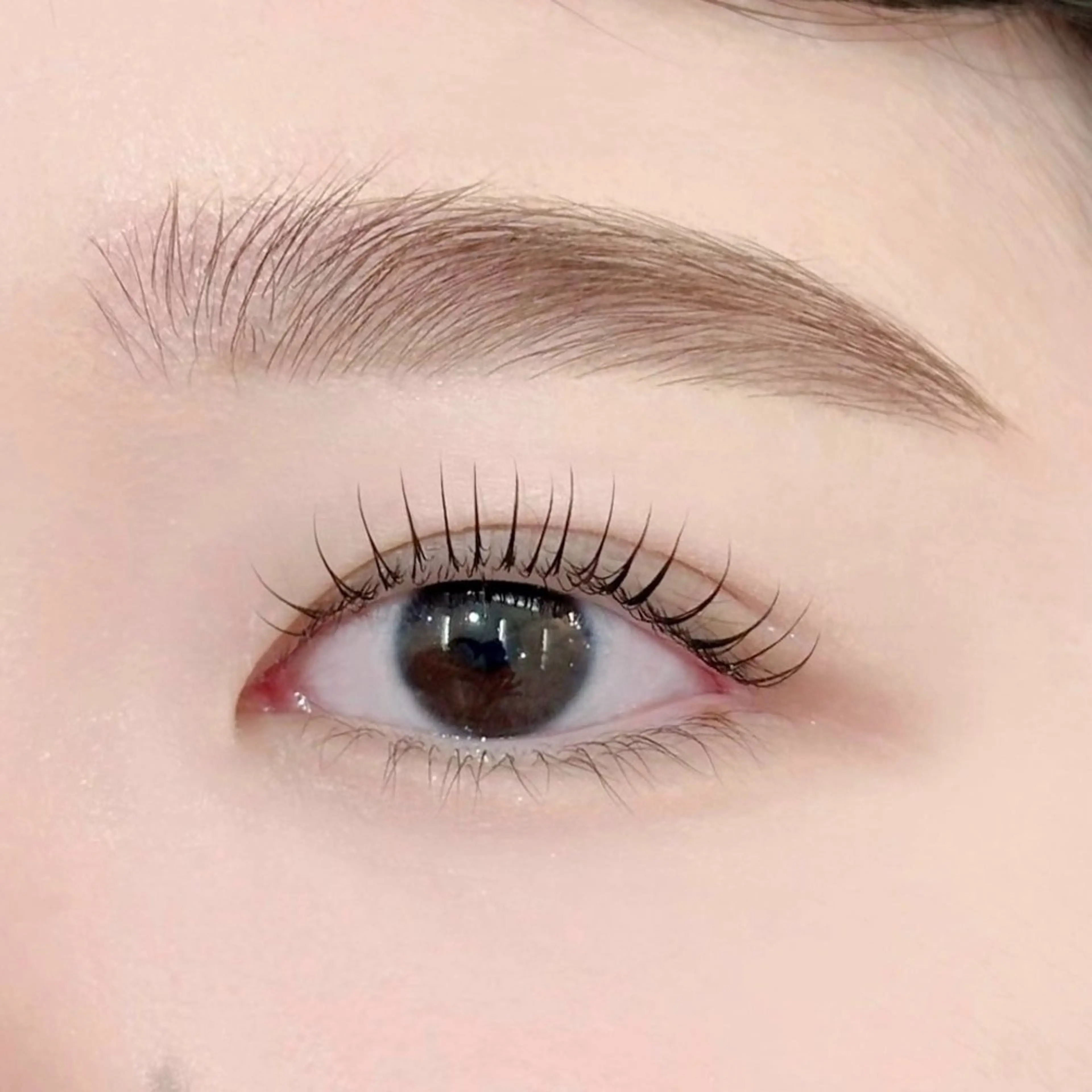 〖 -U24-ミニモ学割価格🔖 〗パリジェンヌ/デザインラッシュリフト🫧トリートメントで束感仕上げ🫧の写真