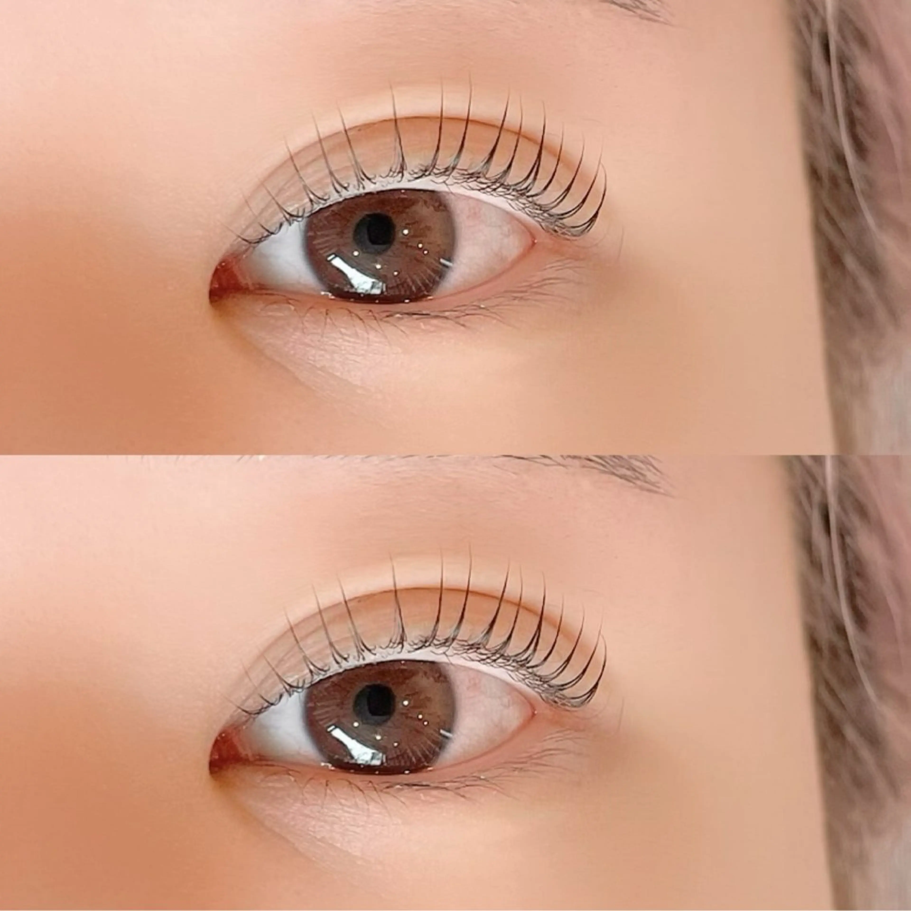 マツエク・マツパ sofa 🛋⸝⸝ urushibaraのマツエク・マツパデザイン