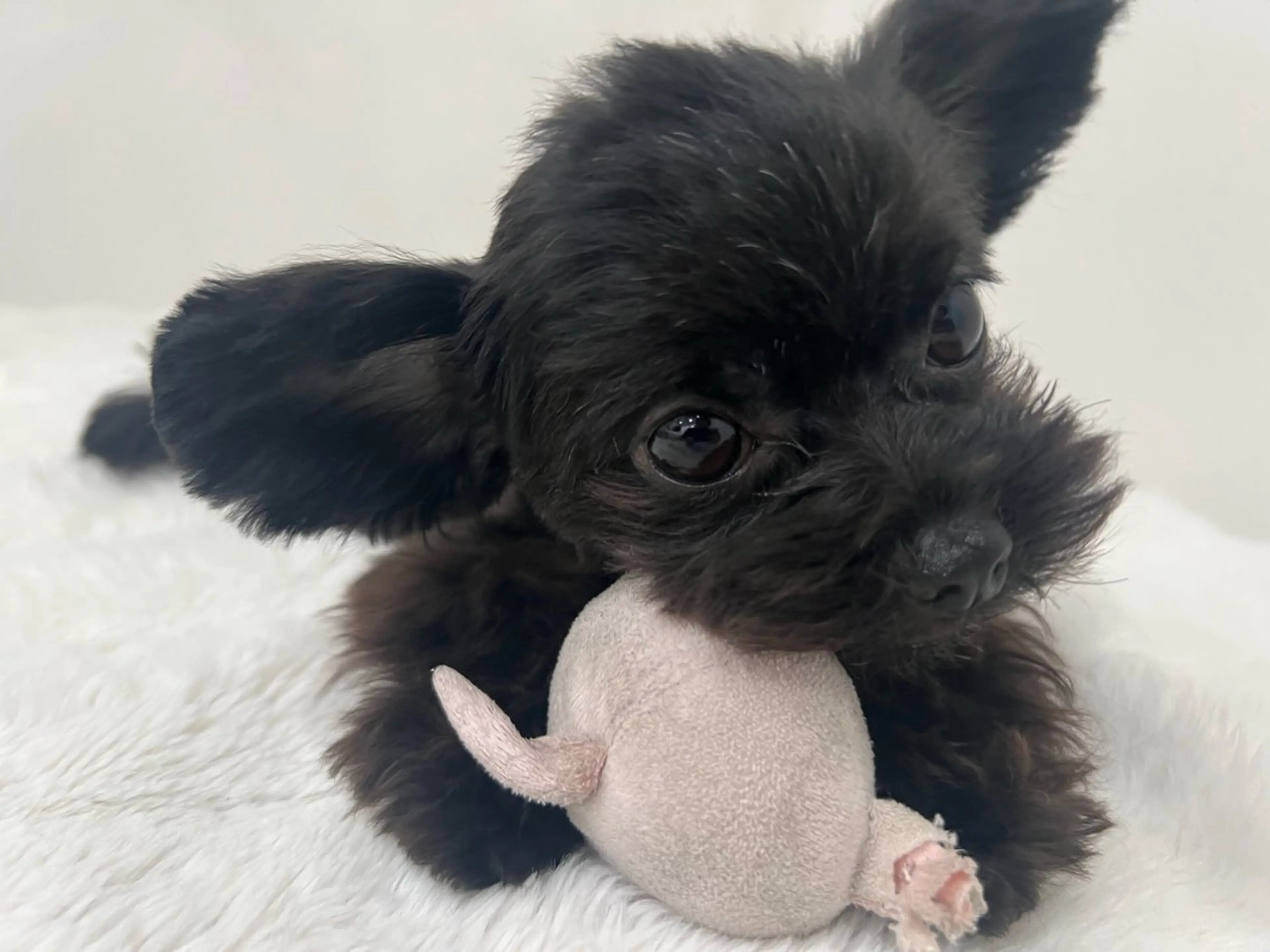 eye salon u-ga所属・eye salon U-ga/中目黒のその他イメージ