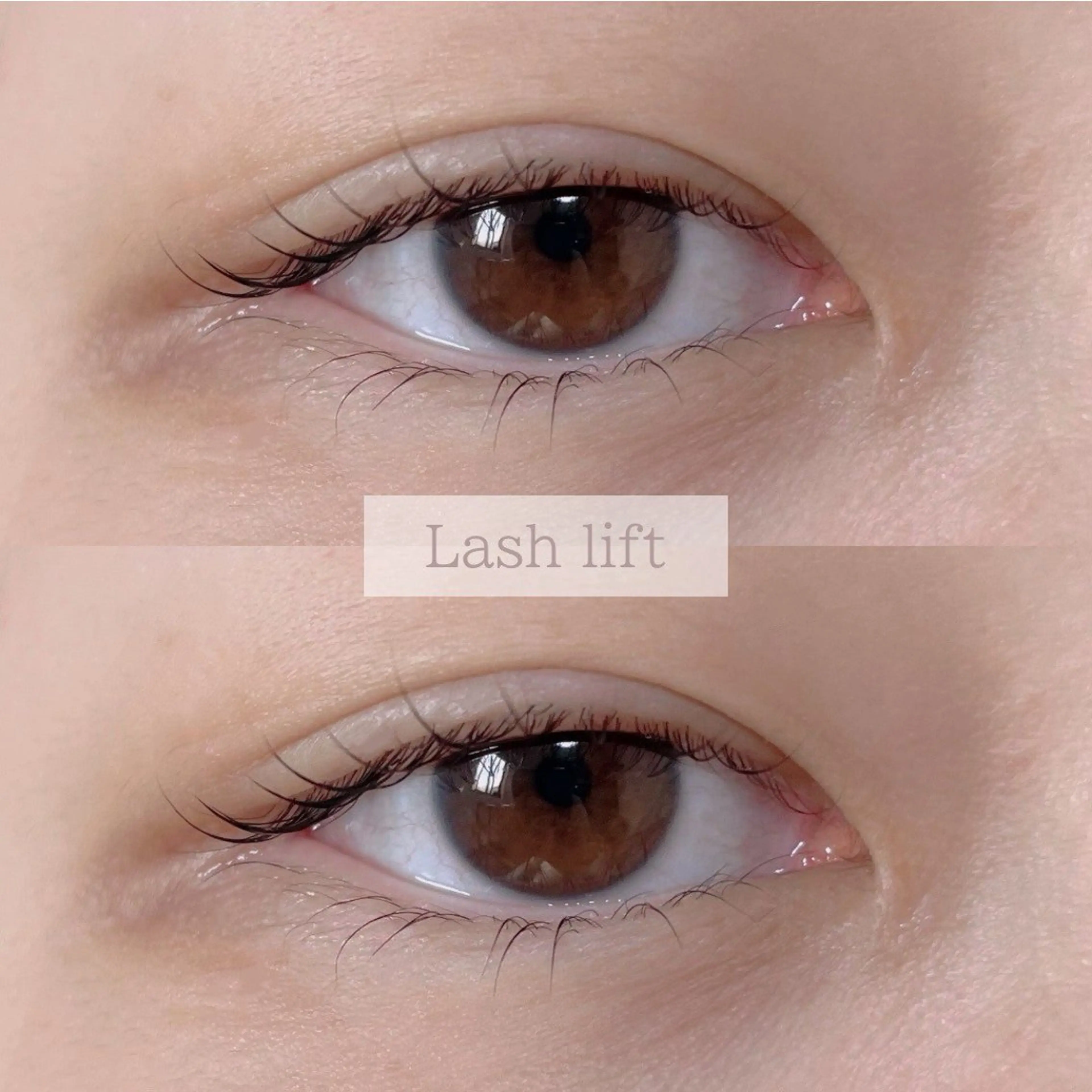 マツエク・マツパ ナチュラル まつげパーマ マツパ sete所属・sete💫 mizukiのマツエク・マツパデザイン