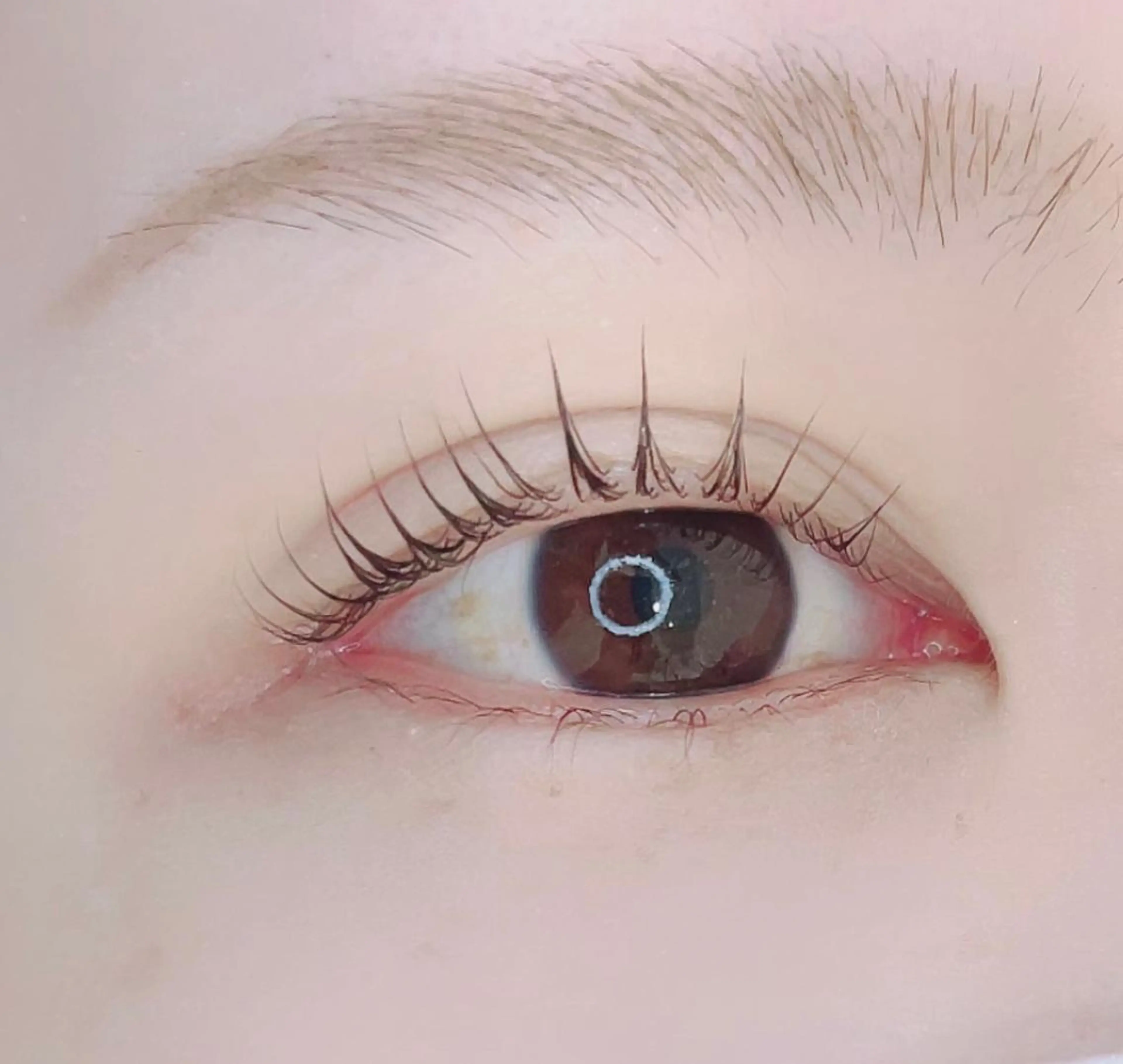 マツエク・マツパ DOLCE川越店✧︎ MAIのマツエク・マツパデザイン