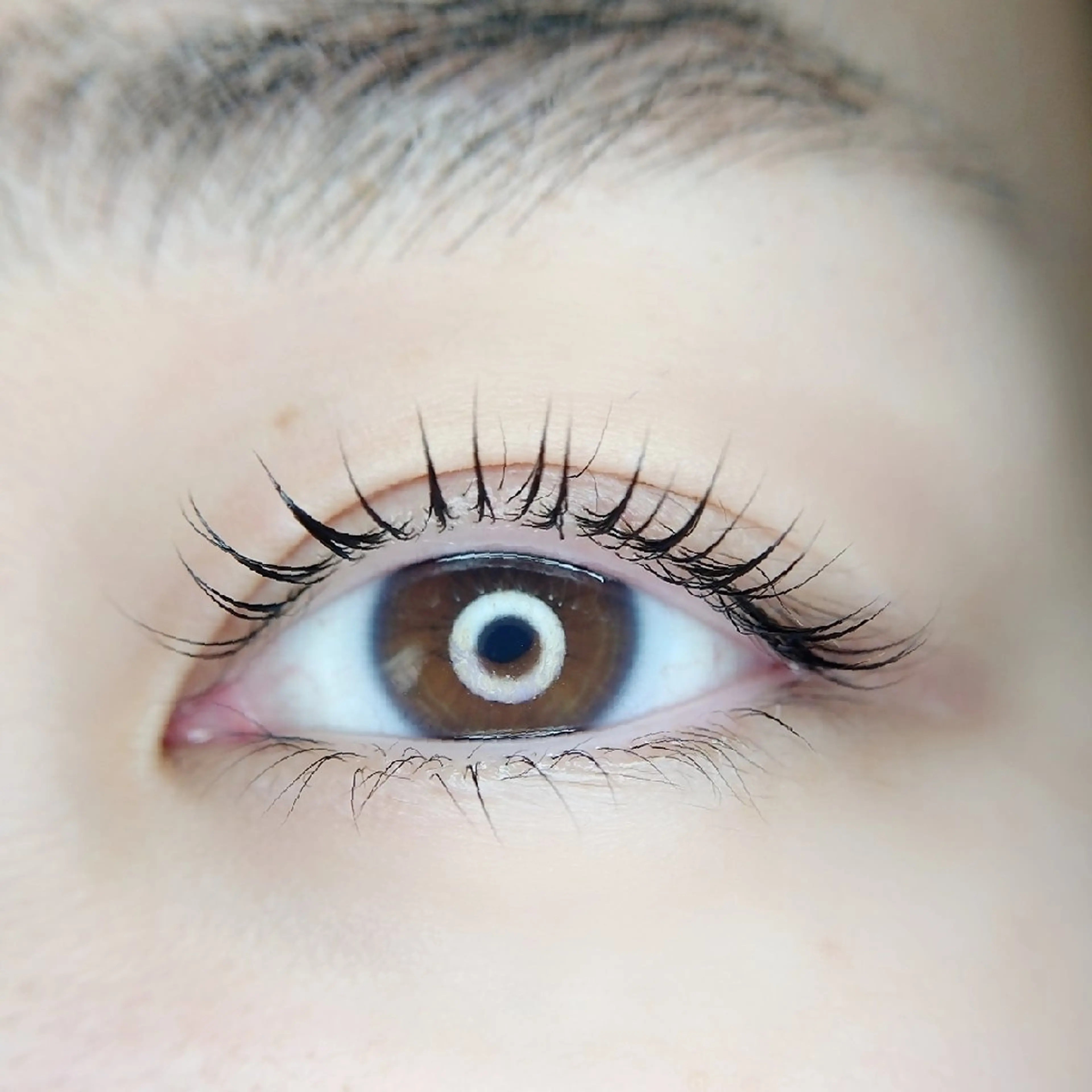 マツエク・マツパ Chelu TOMのマツエク・マツパデザイン