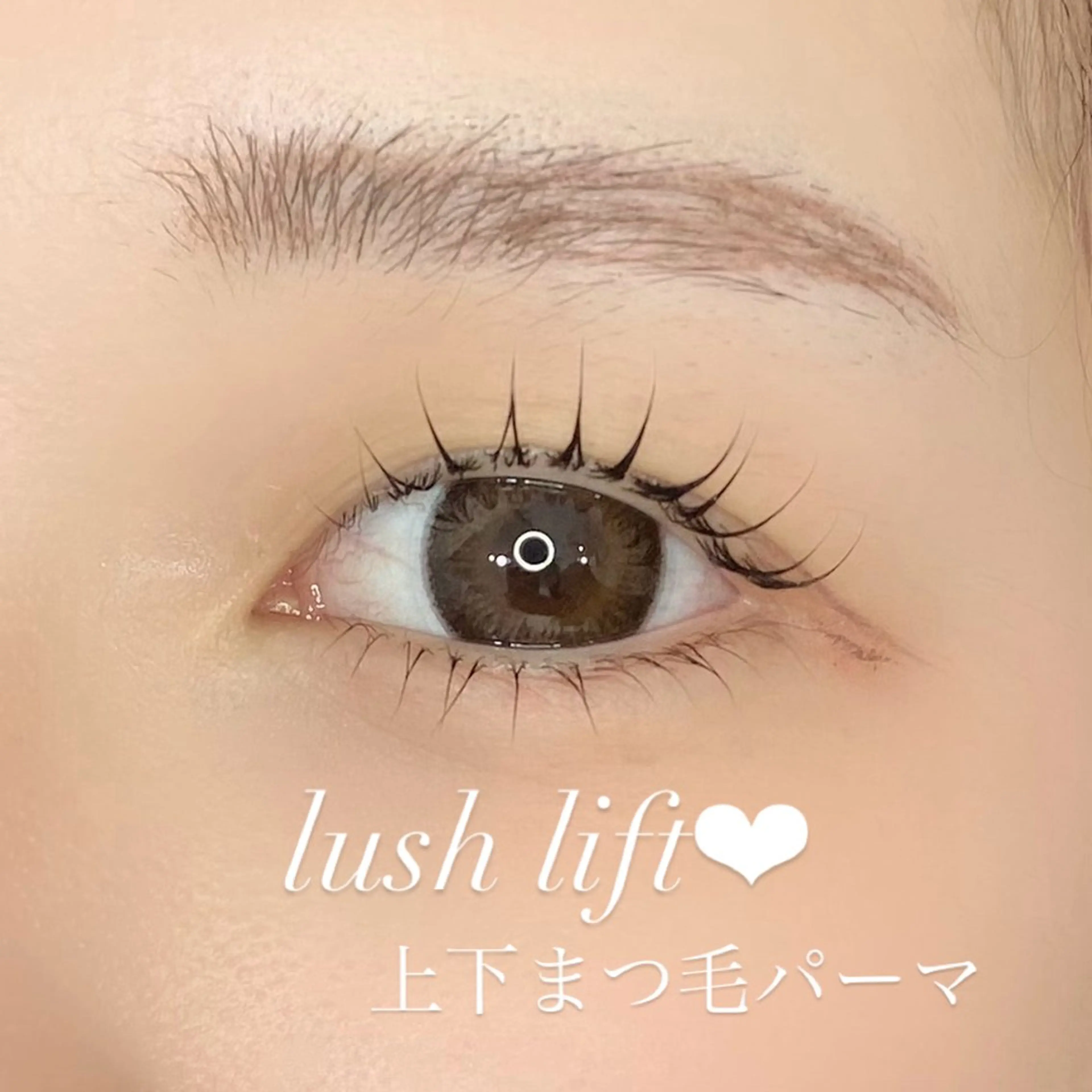 【ご新規様限定】"上下"まつ毛パーマ➕美容液コーティング仕上げ ¥7,500→の写真