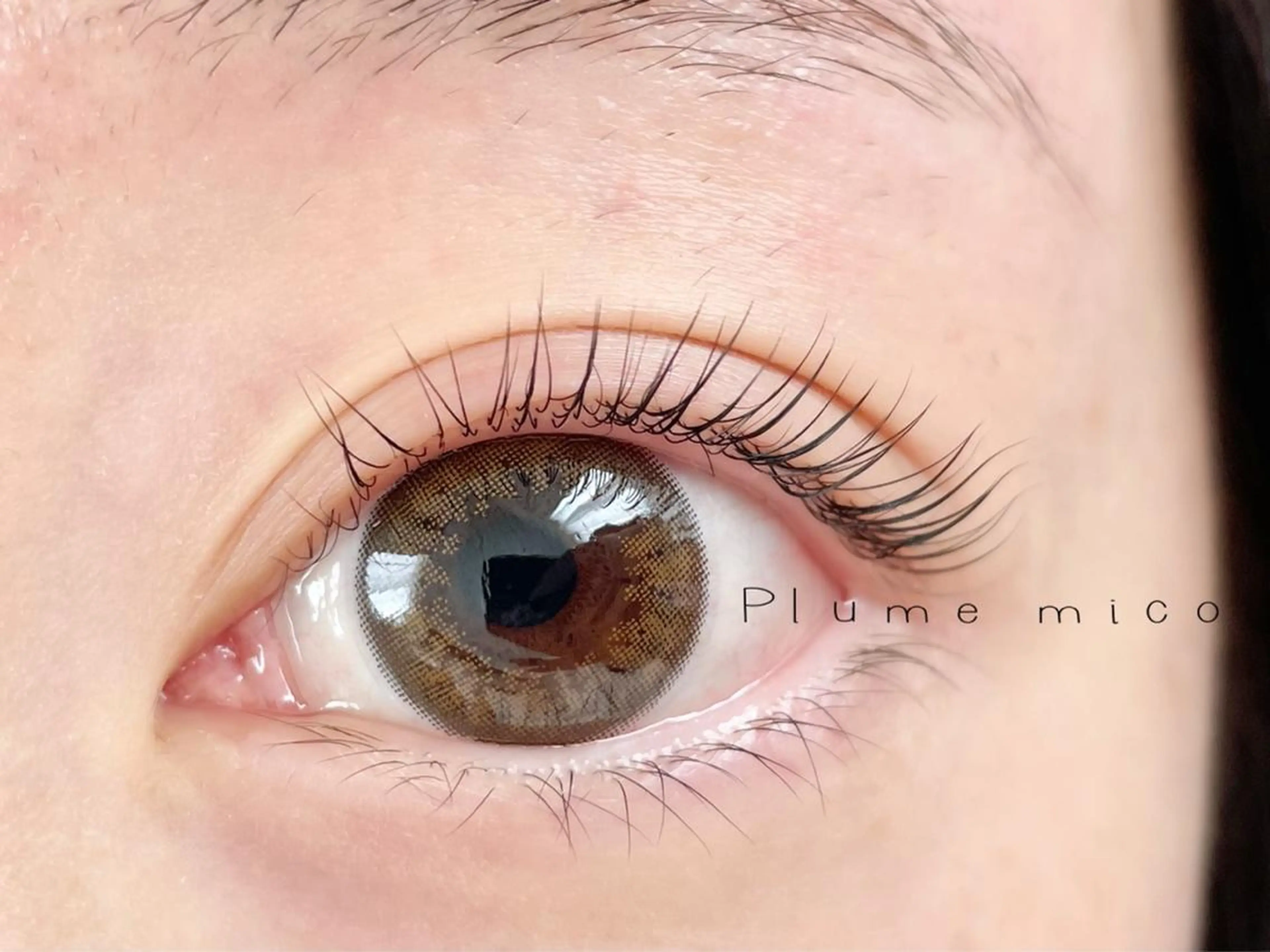 マツエク・マツパ マツパ Plume micoのマツエク・マツパデザイン