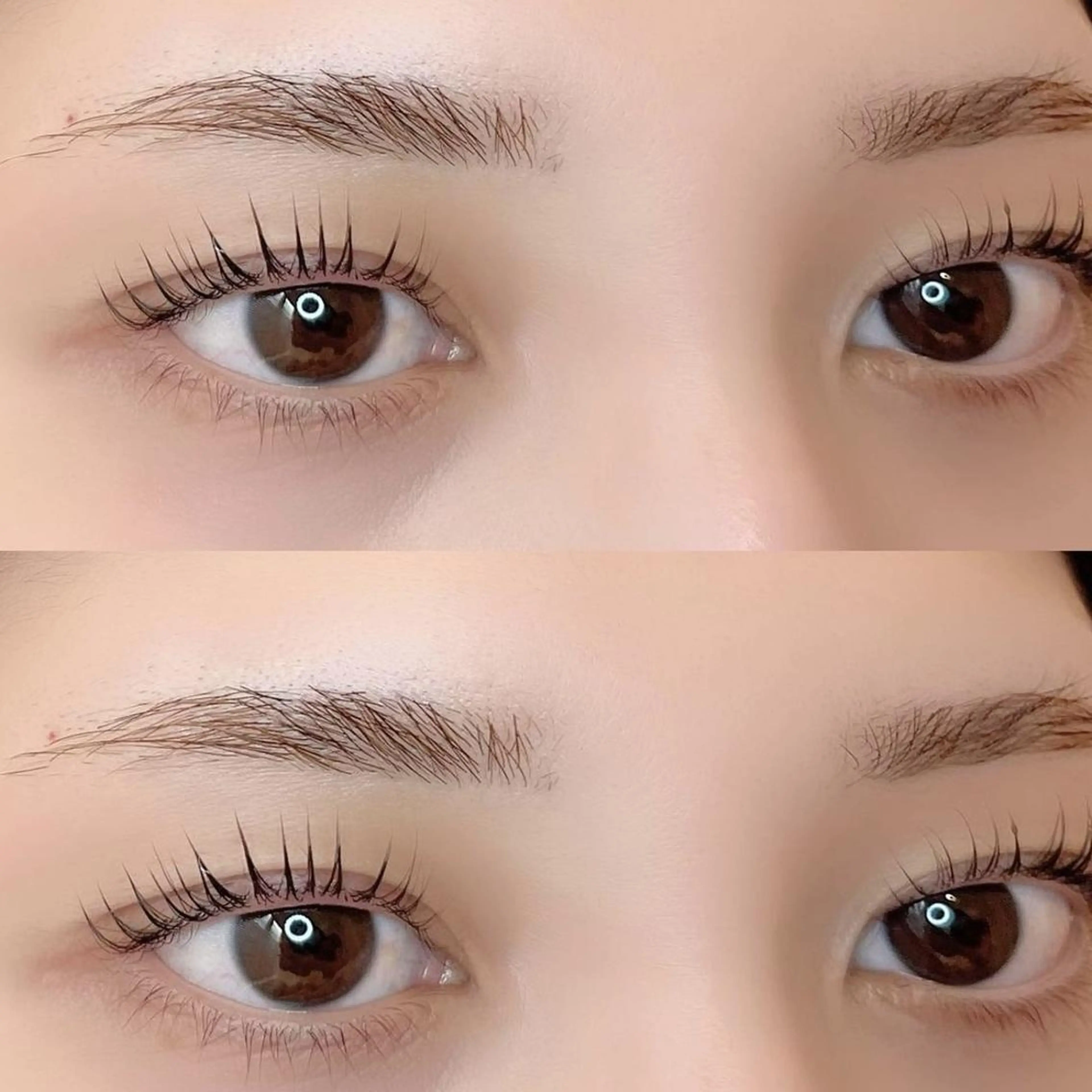 練習モデル☆パリジェンヌラッシュリフトor次世代まつげパーマ☆の写真