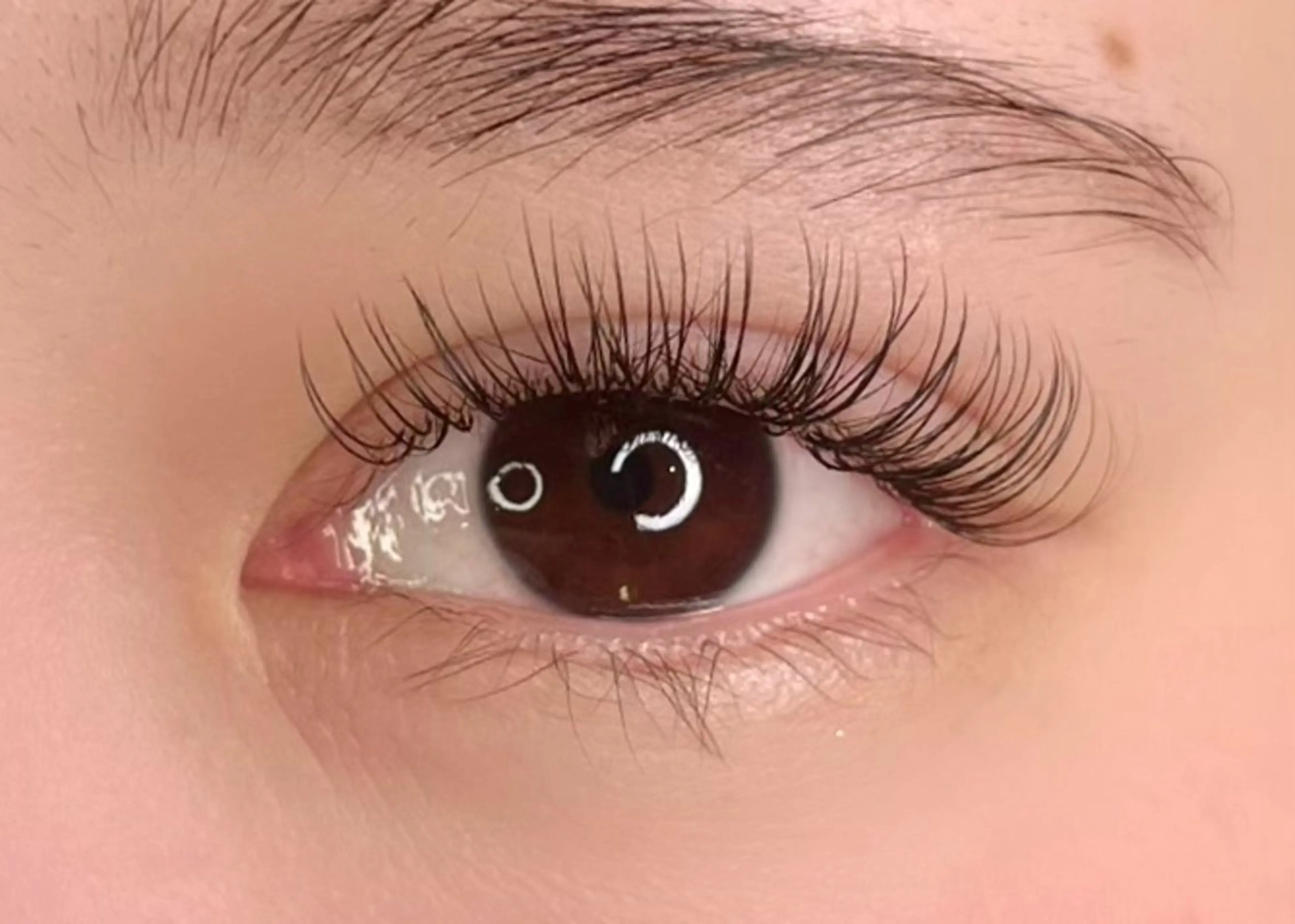 マツエク・マツパ CAMELLIA カメリアのマツエク・マツパデザイン