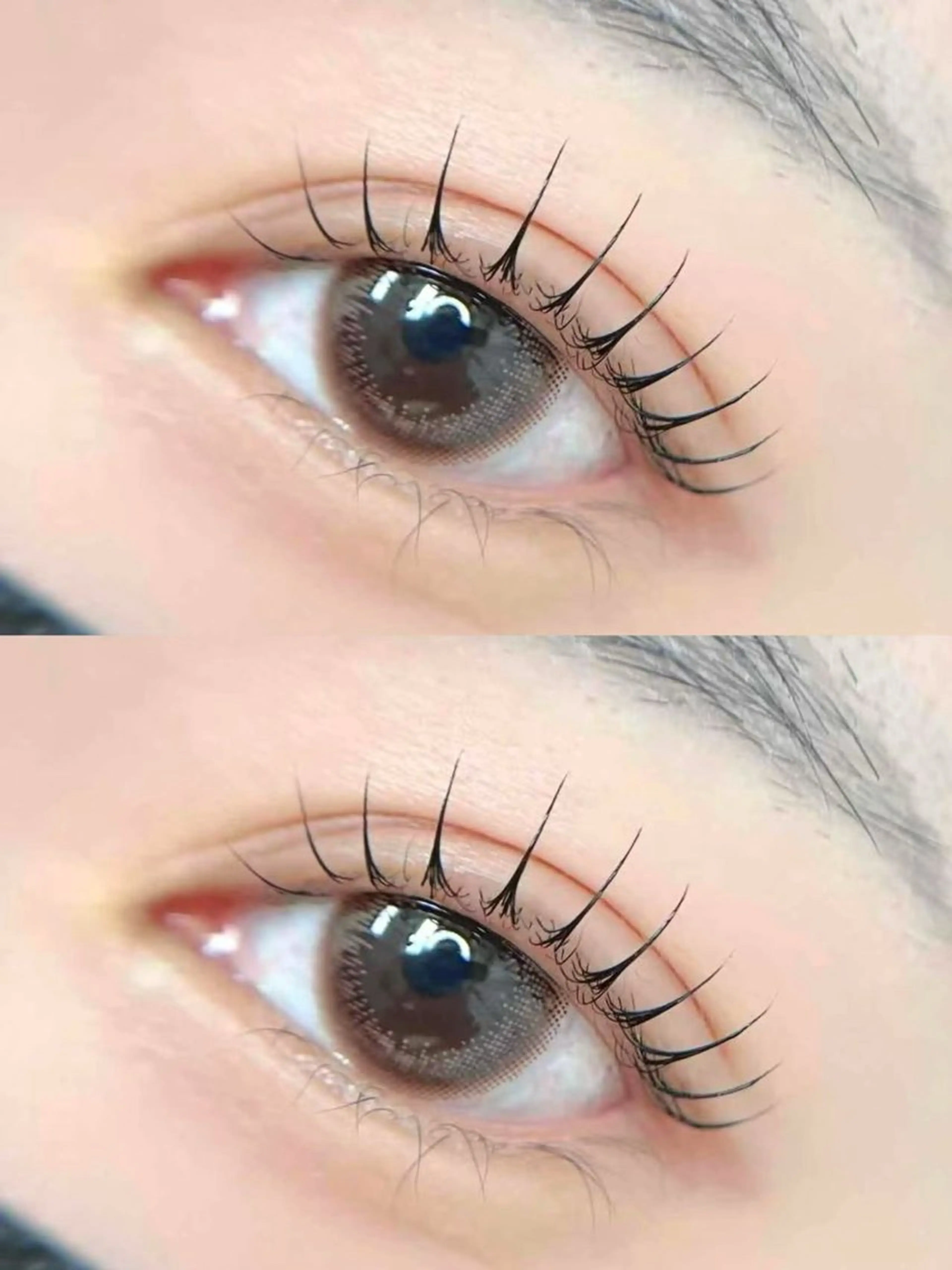 新規平日限定¥4000通常料金¥4700▶¥ 4,000ラッシュリフト＋コーティンの写真