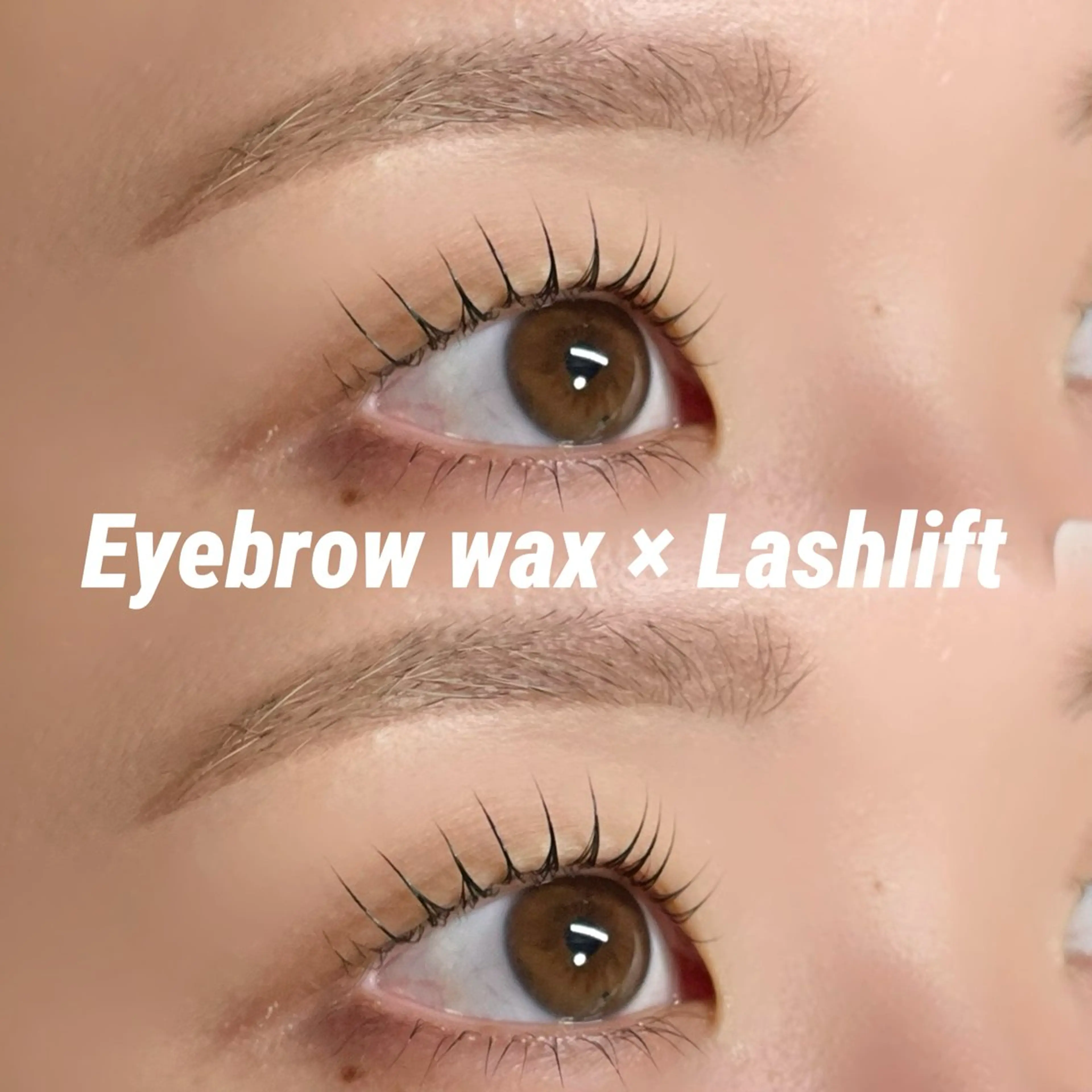 まつ毛パーマorパリジェンヌ＋眉毛wax🪩の写真