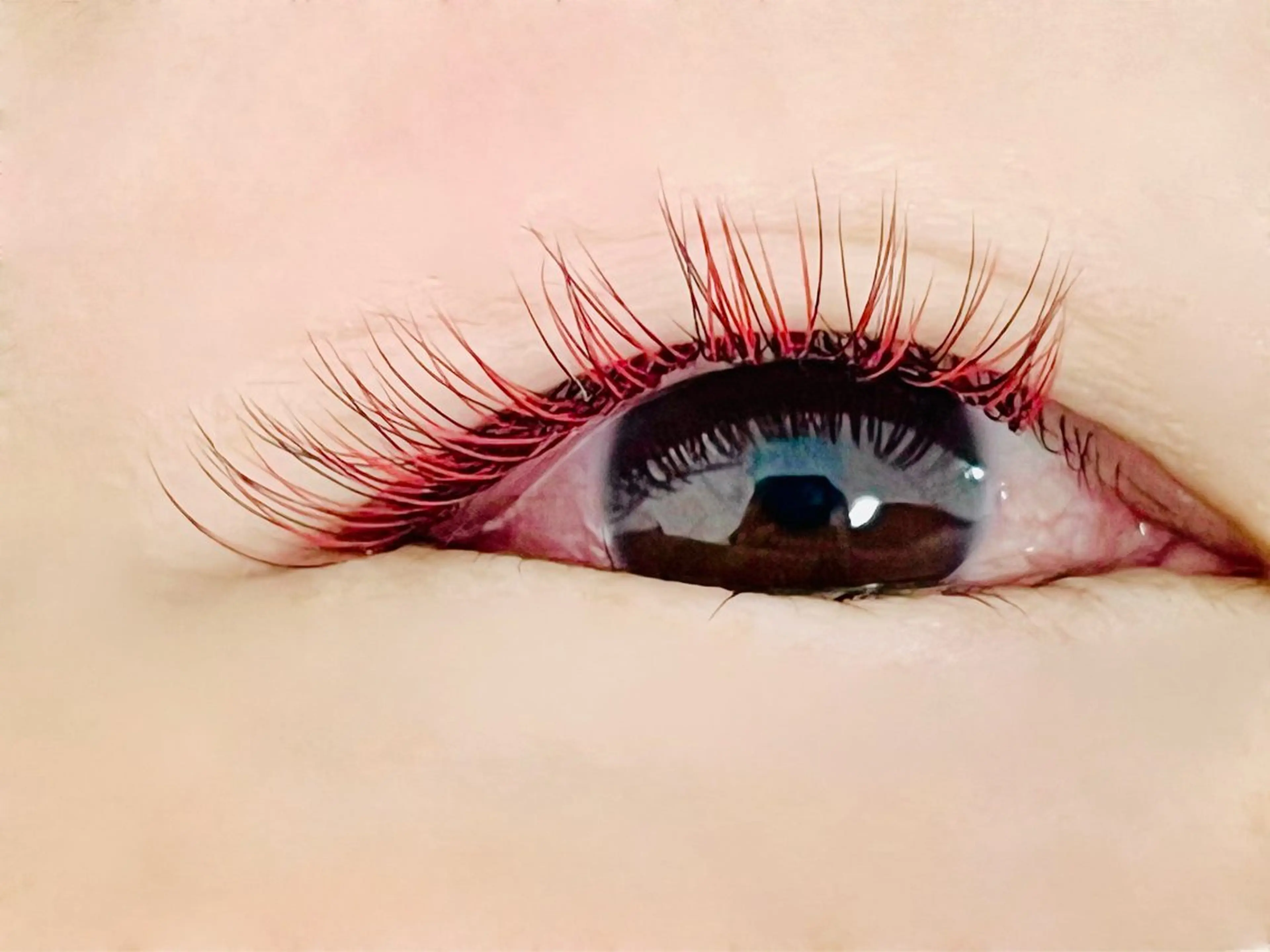 マツエク・マツパ Eye'llbe lash《ｱｲﾋﾞｰﾗｯｼｭ》所属・Eye'llbe lashのその他イメージ