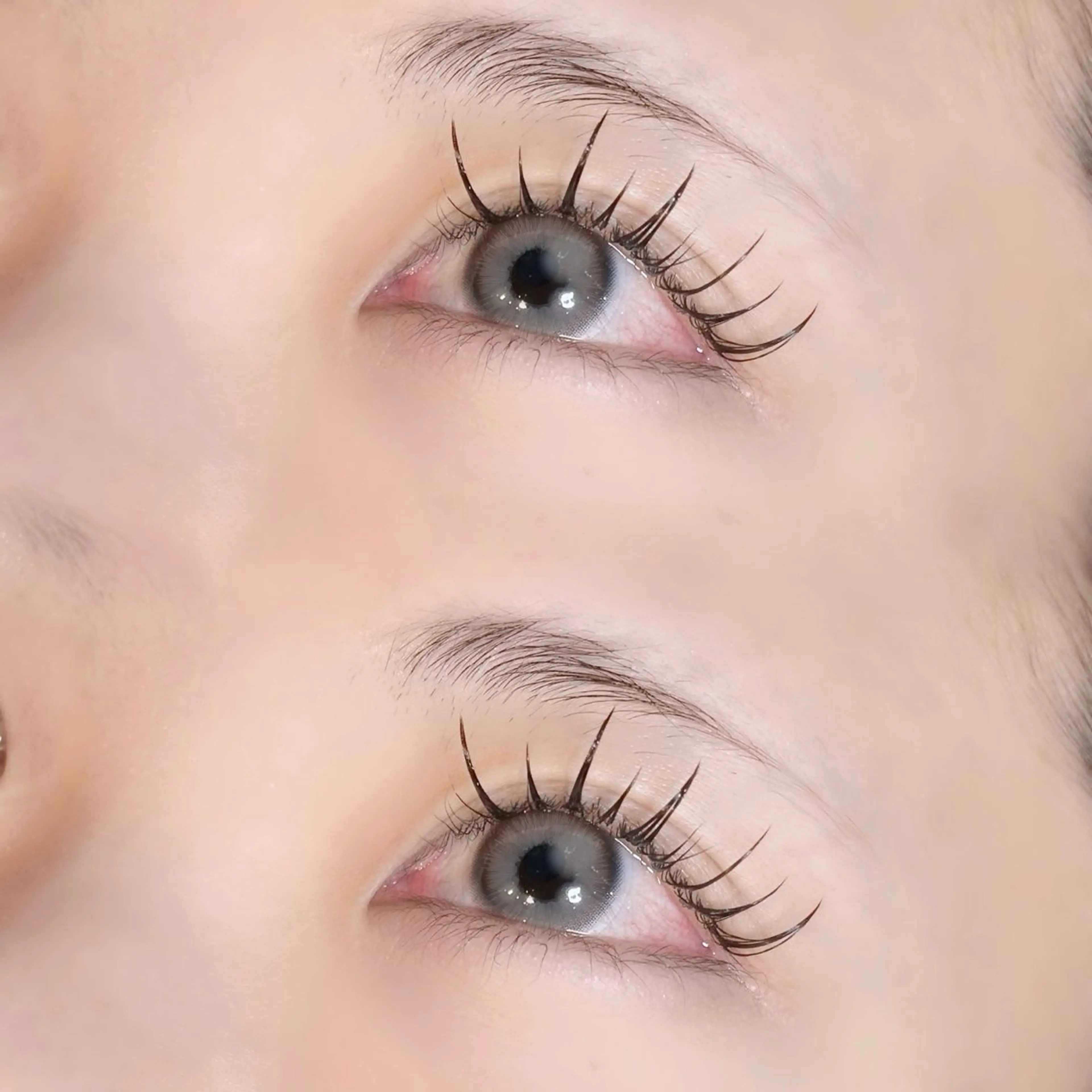 マツエク・マツパ ワンホンマツエク Moana eyelash所属・𝜗kurumi𝜚 Moanaの眉毛・アイブロウイメージ