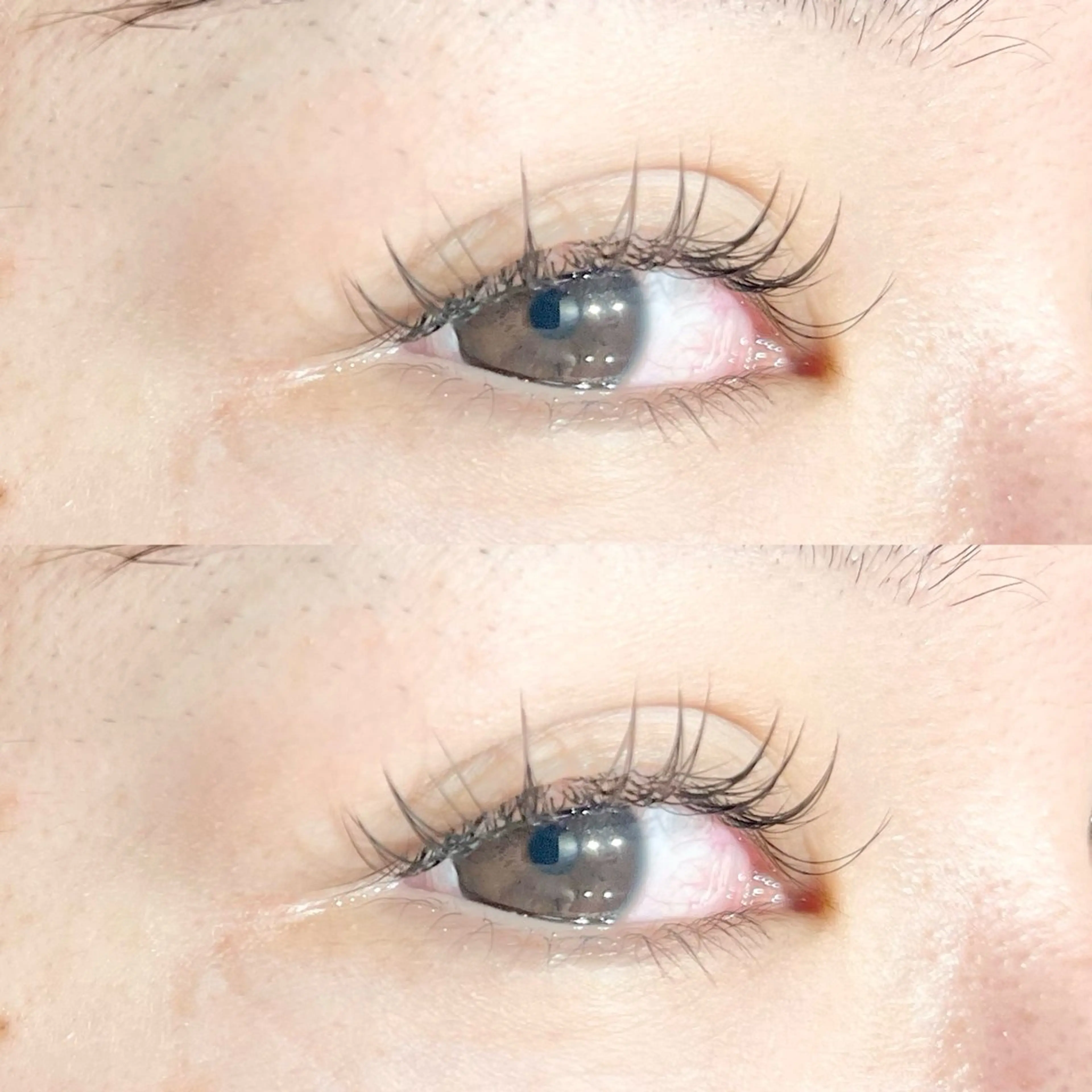 シングル（フラット、セーブル）･･･100本の写真