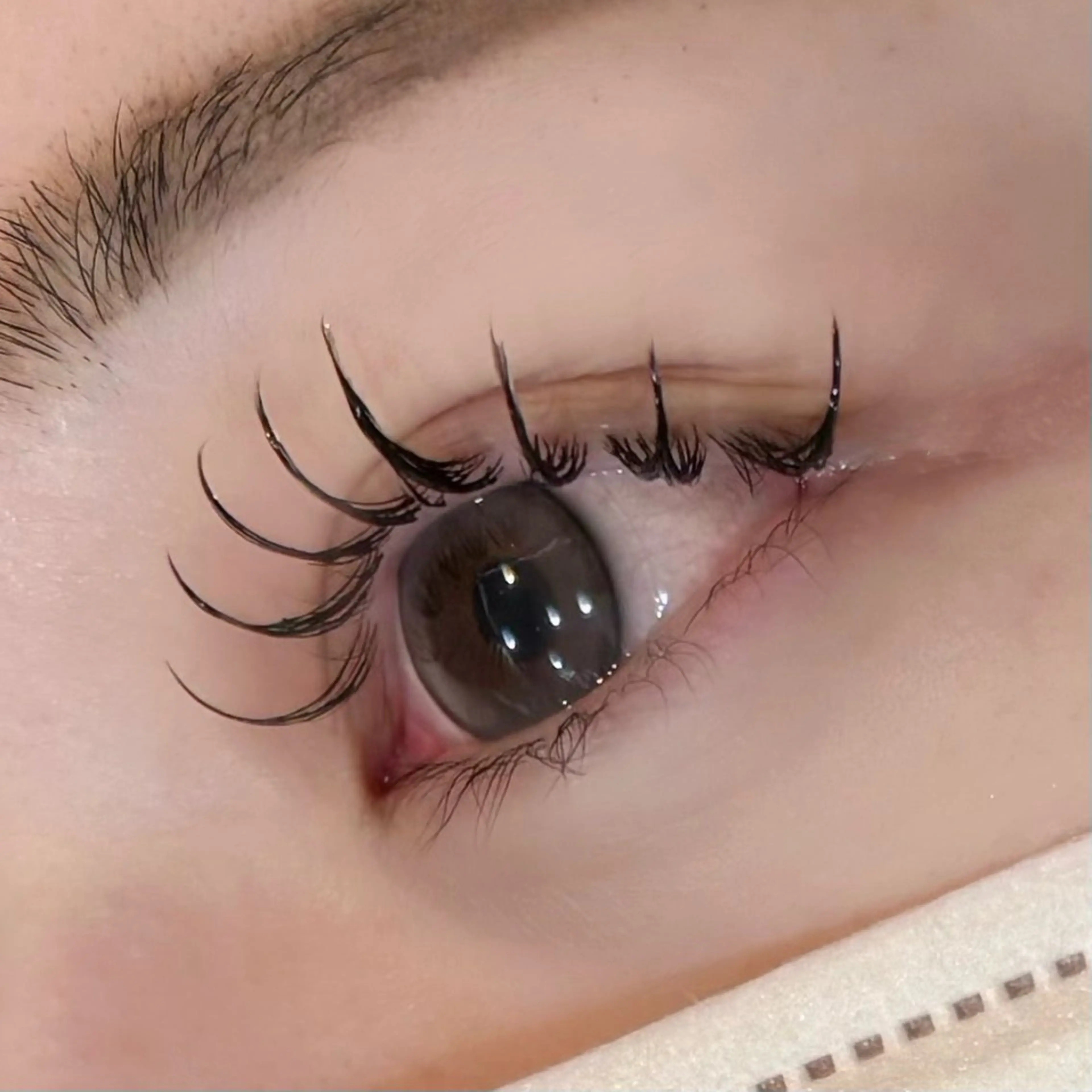 flat lash 120本🪽LED+¥550(再来:¥4950)の写真