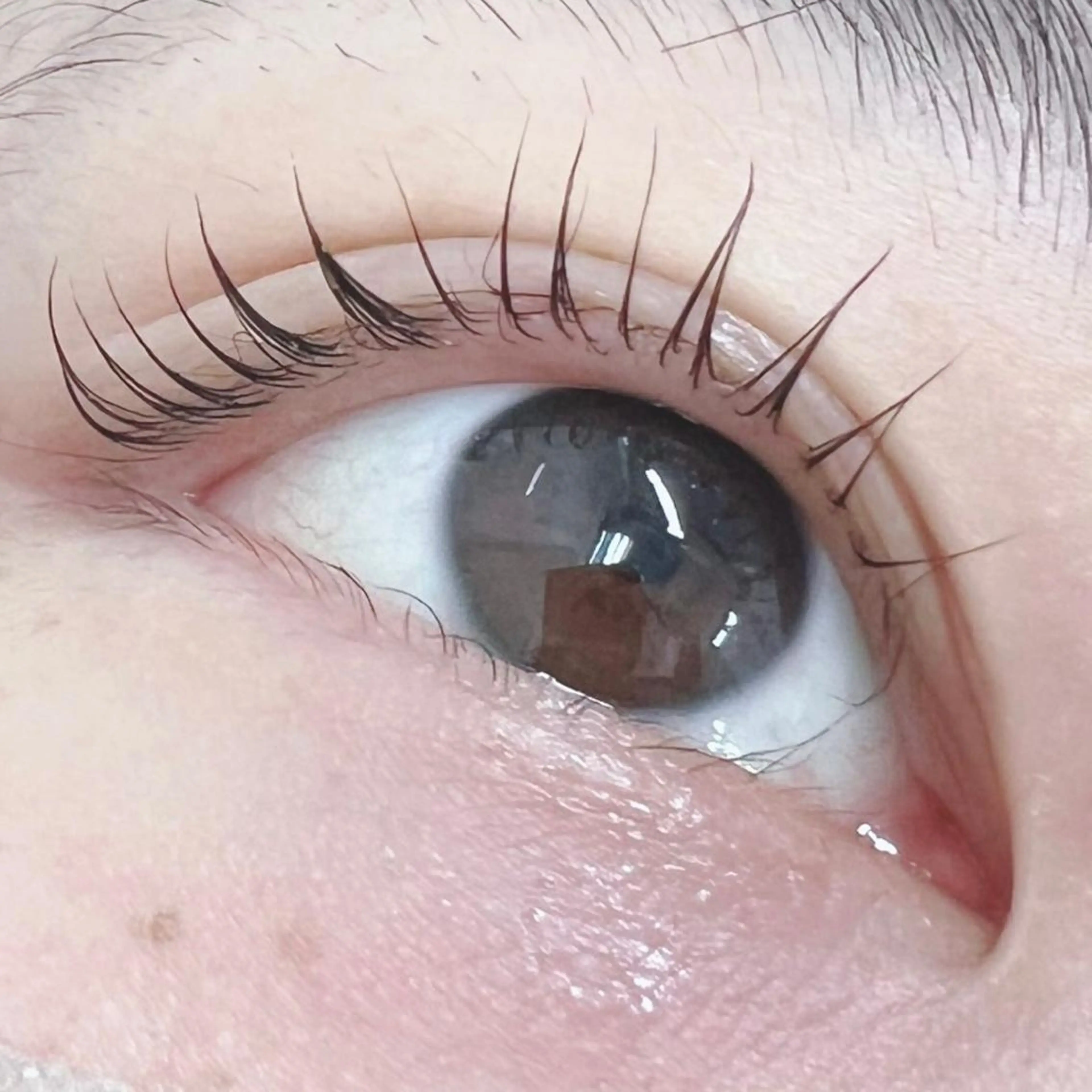 マツエク・マツパ ALICE 梅田茶屋町店所属・伊藤 becky lashのマツエク・マツパデザイン