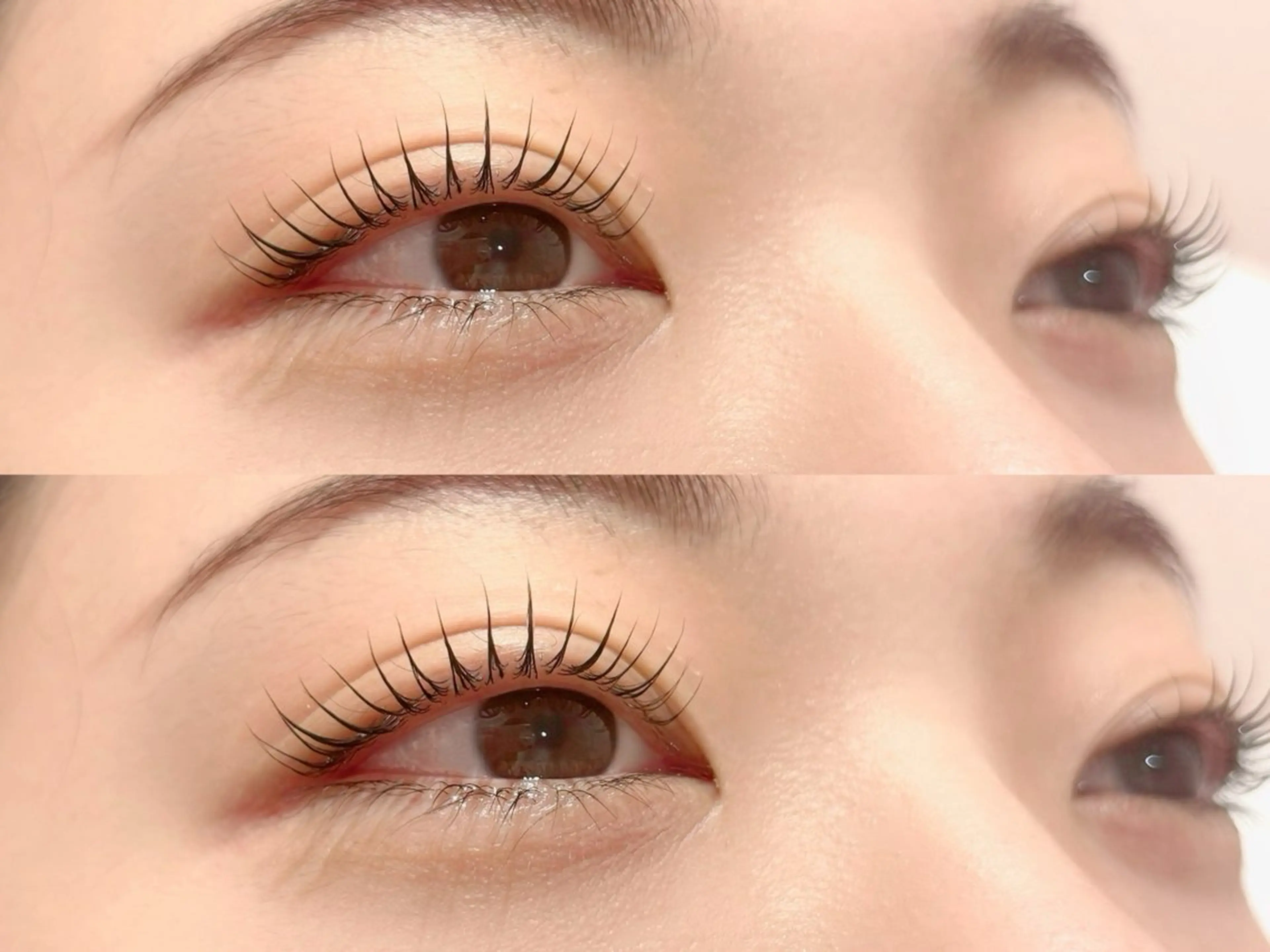 本日限定✨上下アッパーリフトカールの写真