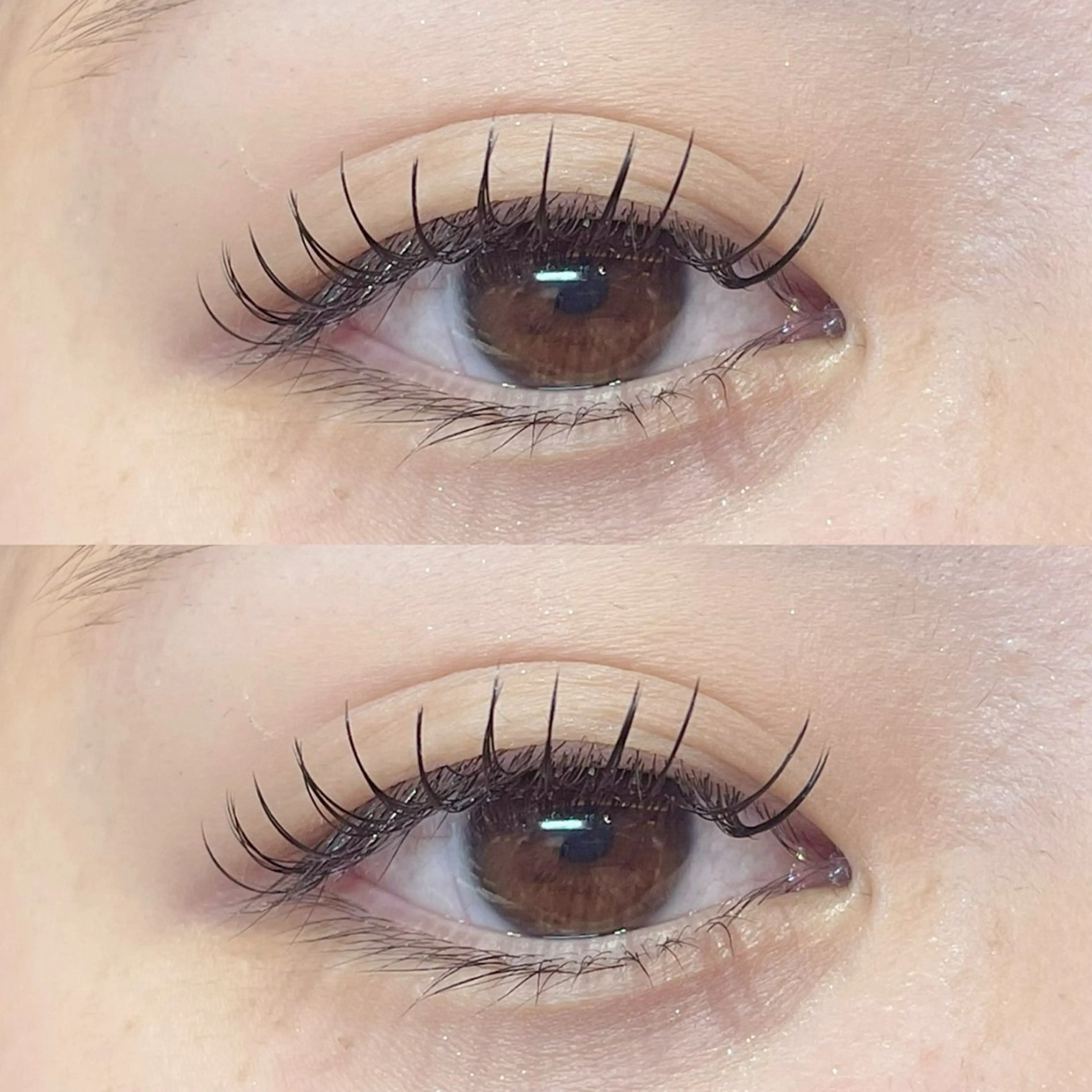 セーブル上140本下40本（フラットに変更+1000円）再来+550円の写真