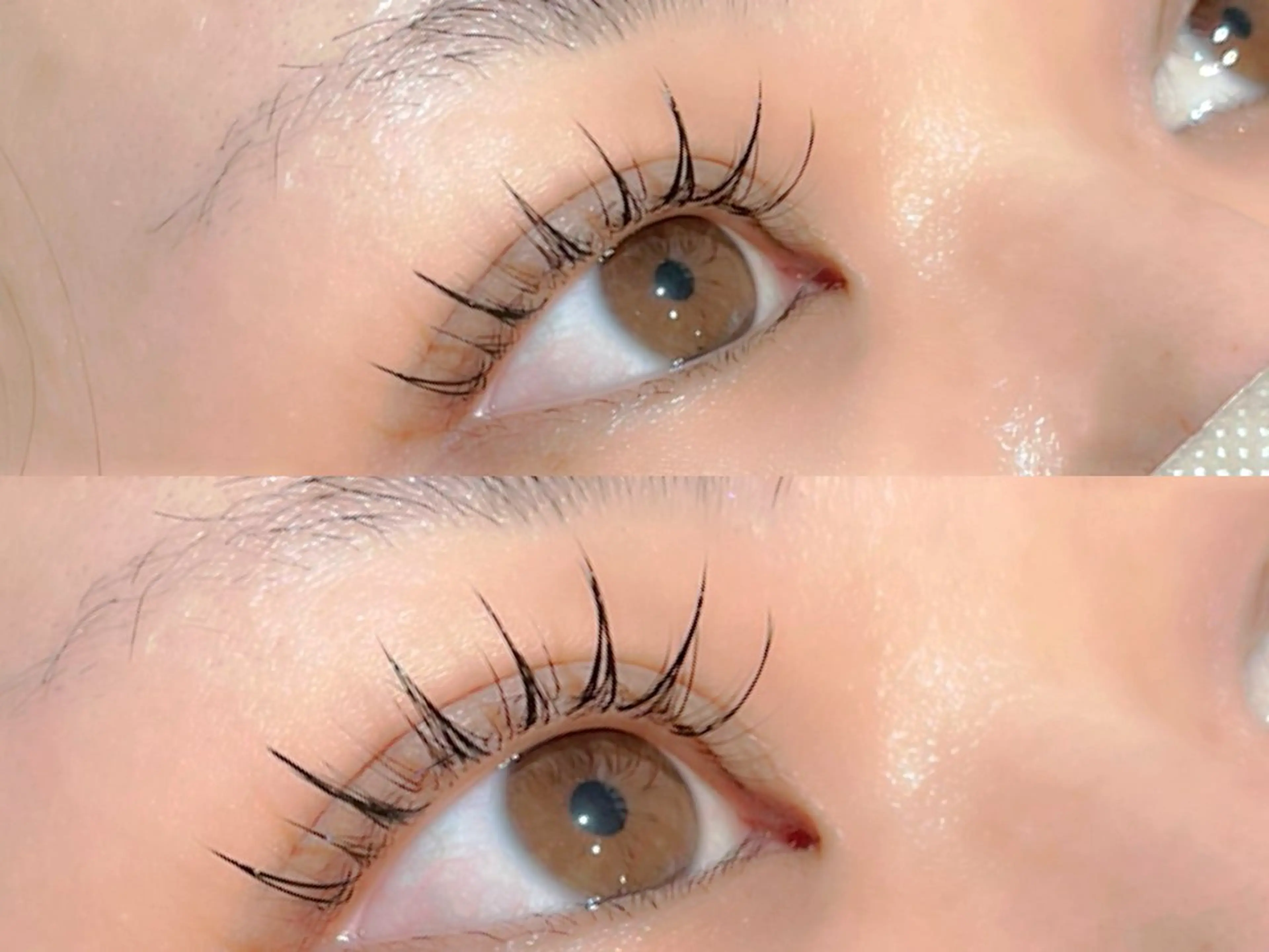 【ワンホン】LED60分付け放題×まつげパーマの写真