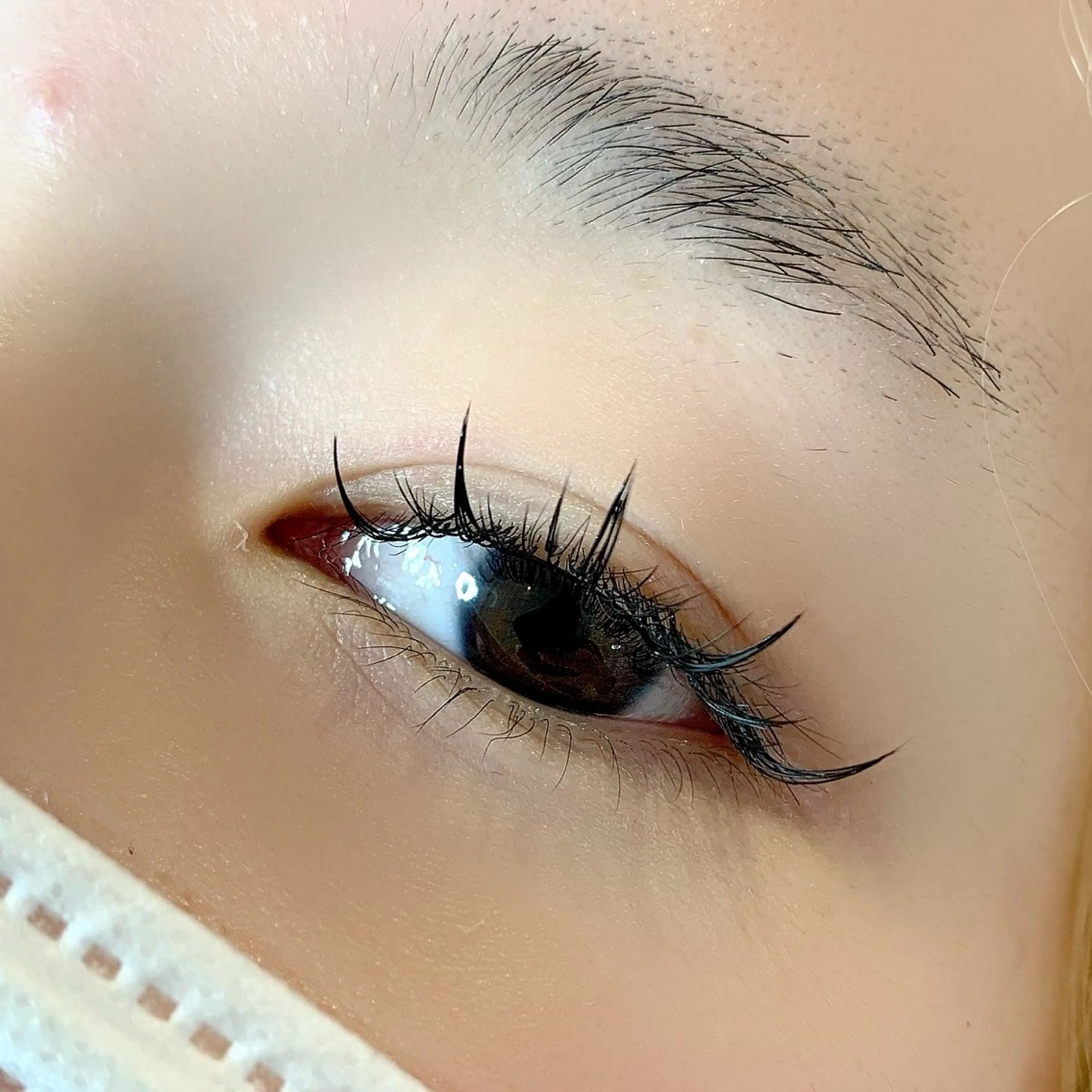 マツエク・マツパ ワンホンマツエク AYLASH石川 韓国風/カラエクのマツエク・マツパデザイン