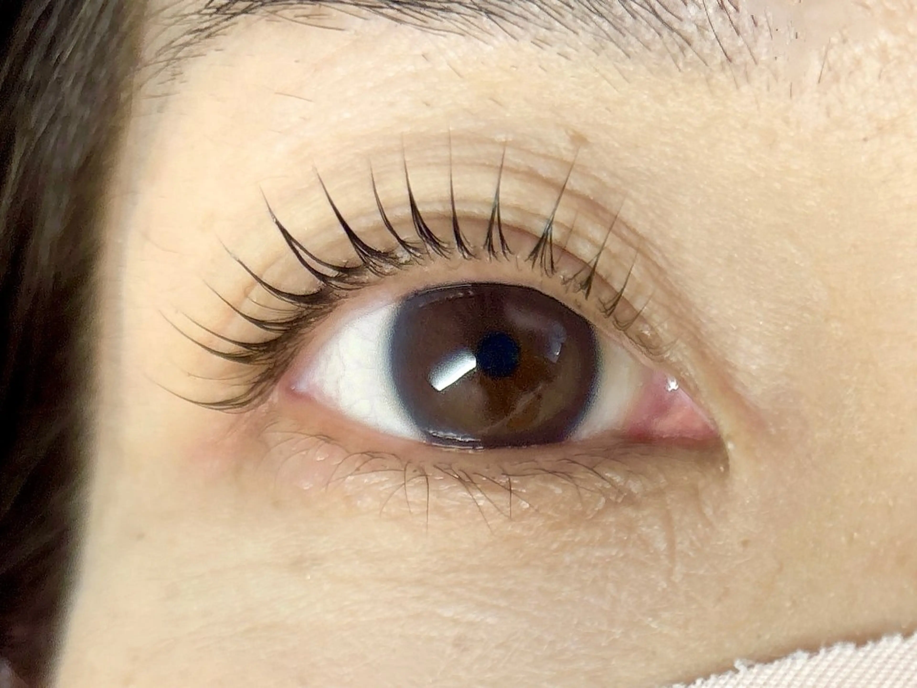 マツエク・マツパ マツパ 中村彩香 (エフドゥ)のマツエク・マツパデザイン