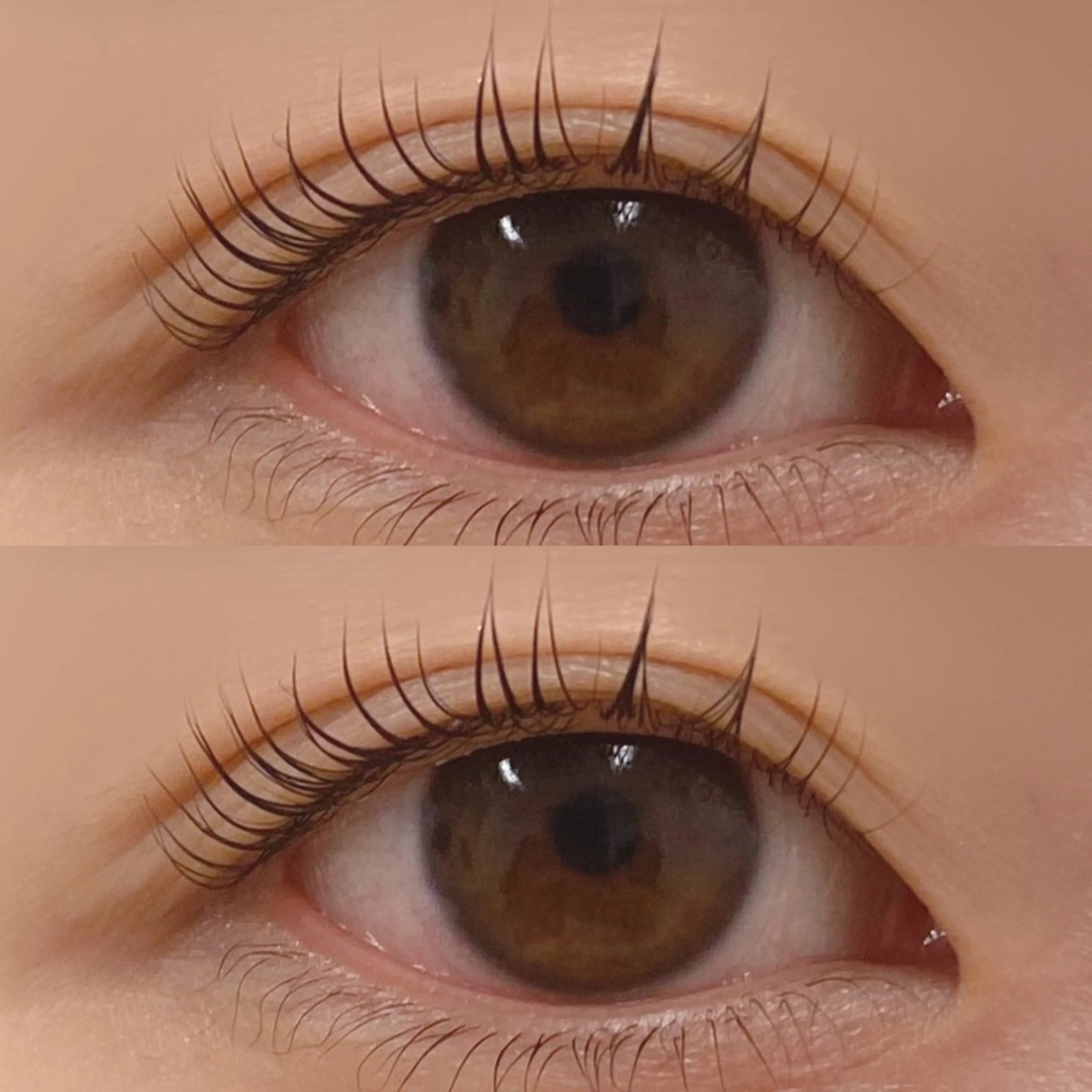 マツエク・マツパ マツパ Bianca横浜関内 NOSHITA𓆉のマツエク・マツパデザイン