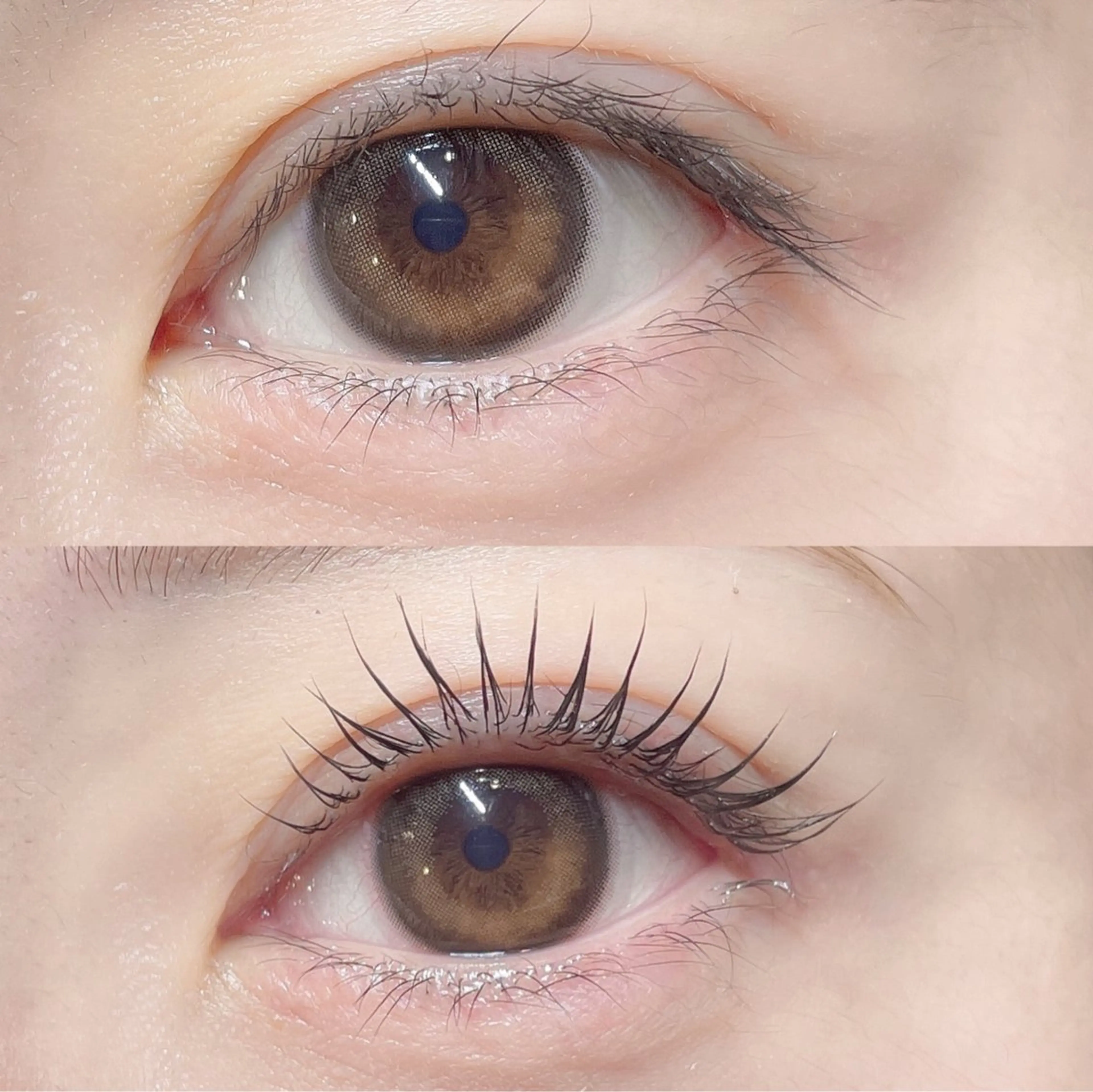 リピーター様🔁💘パリジェンヌラッシュリフト+高濃度トリートメントの写真