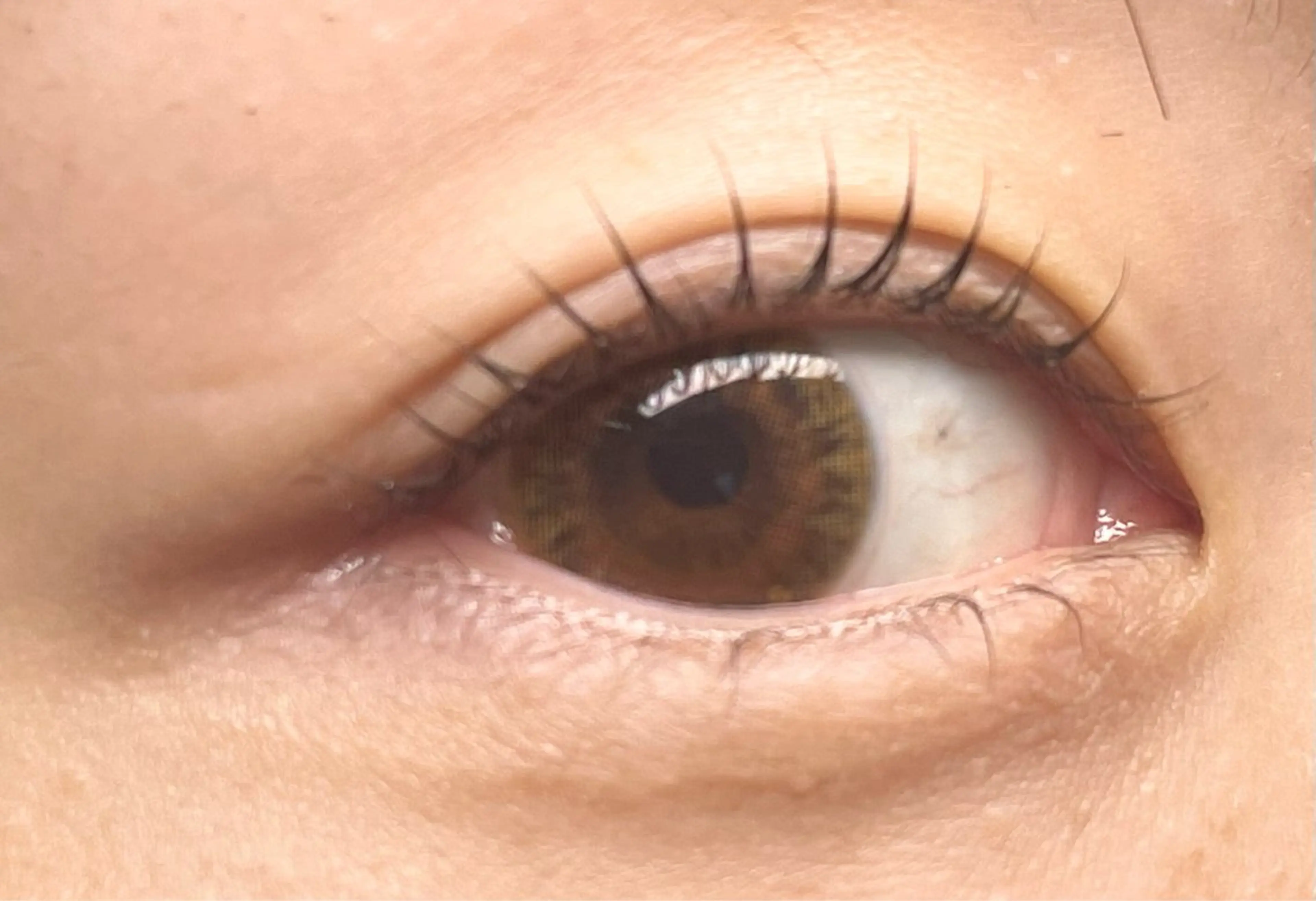 マツエク・マツパ glitter 京橋駅徒歩 1分のその他イメージ