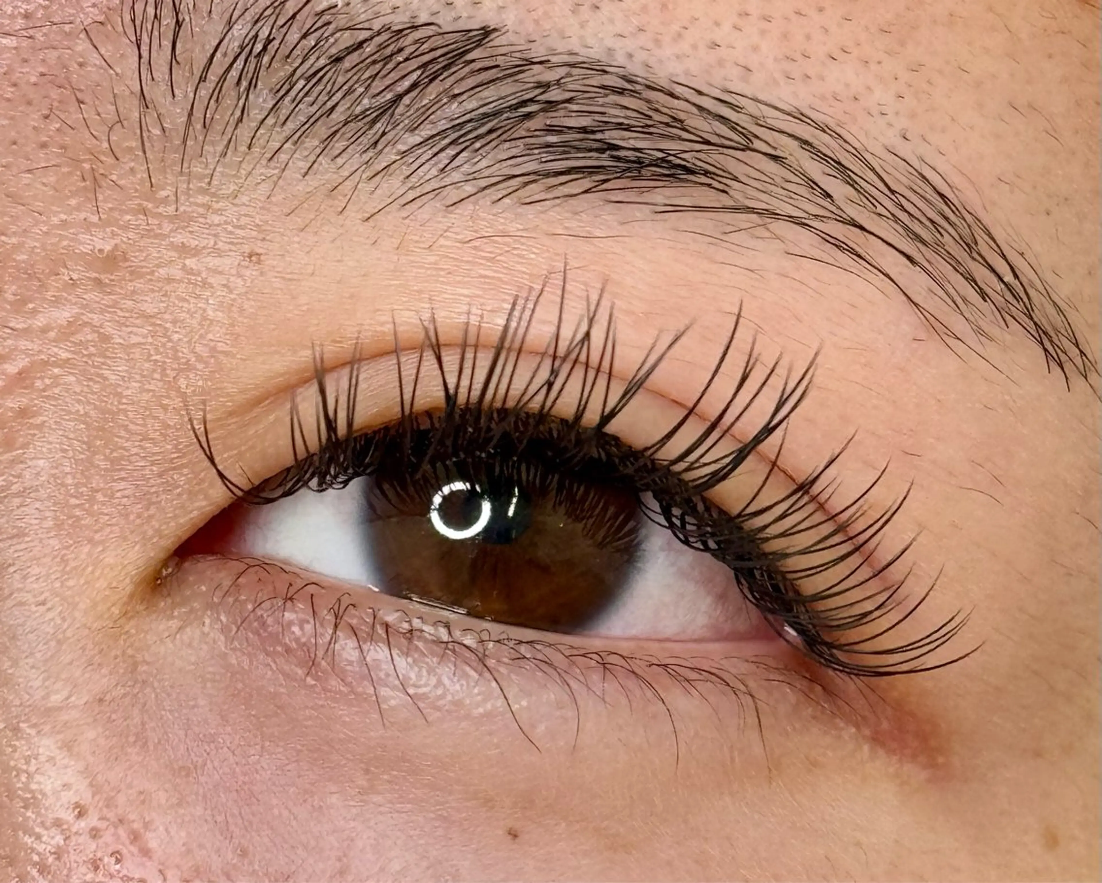 🌸フラットラッシュ140本🌸の写真