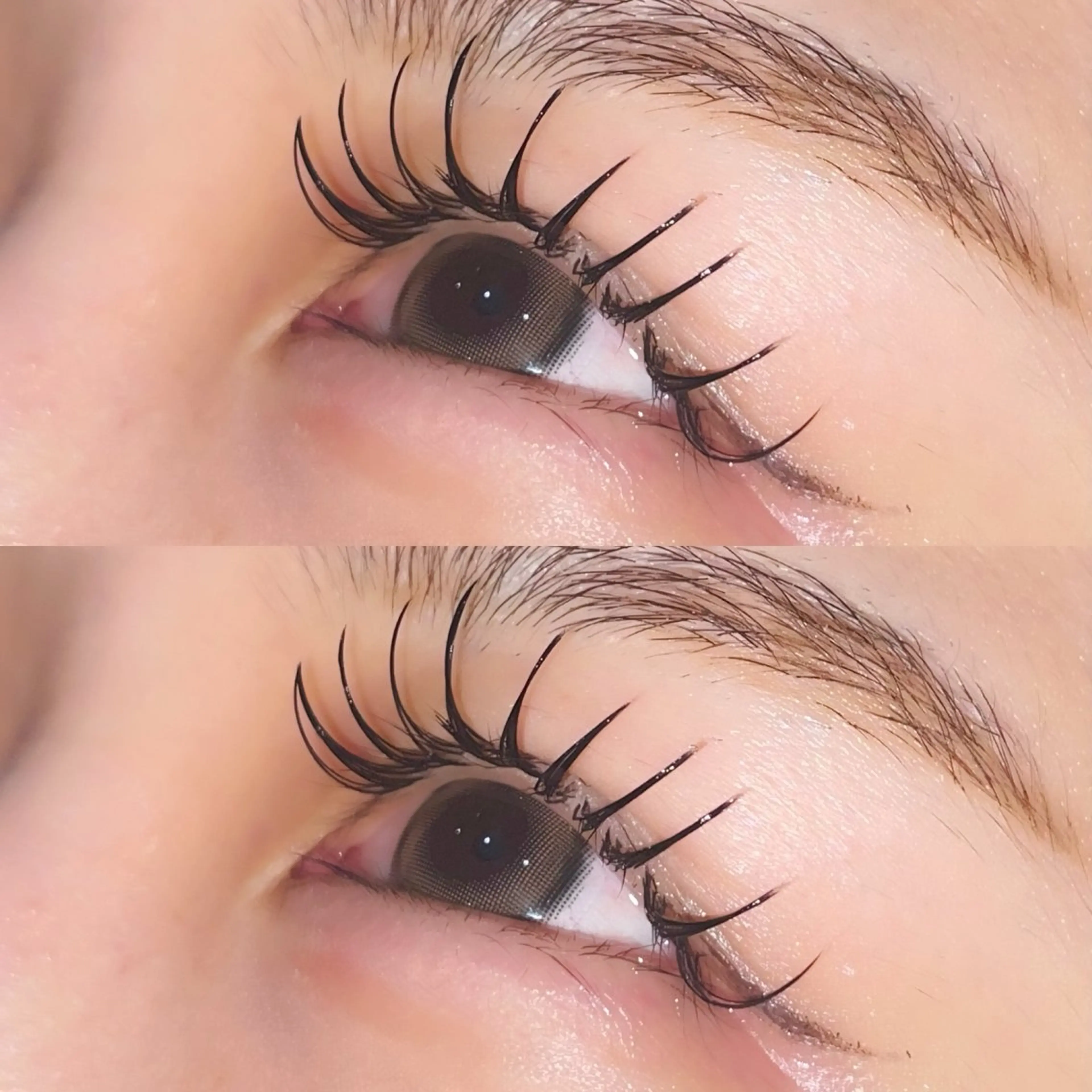 🩷ダブルフラットラッシュ上100束(実質200本)オフ・コーティング付きの写真