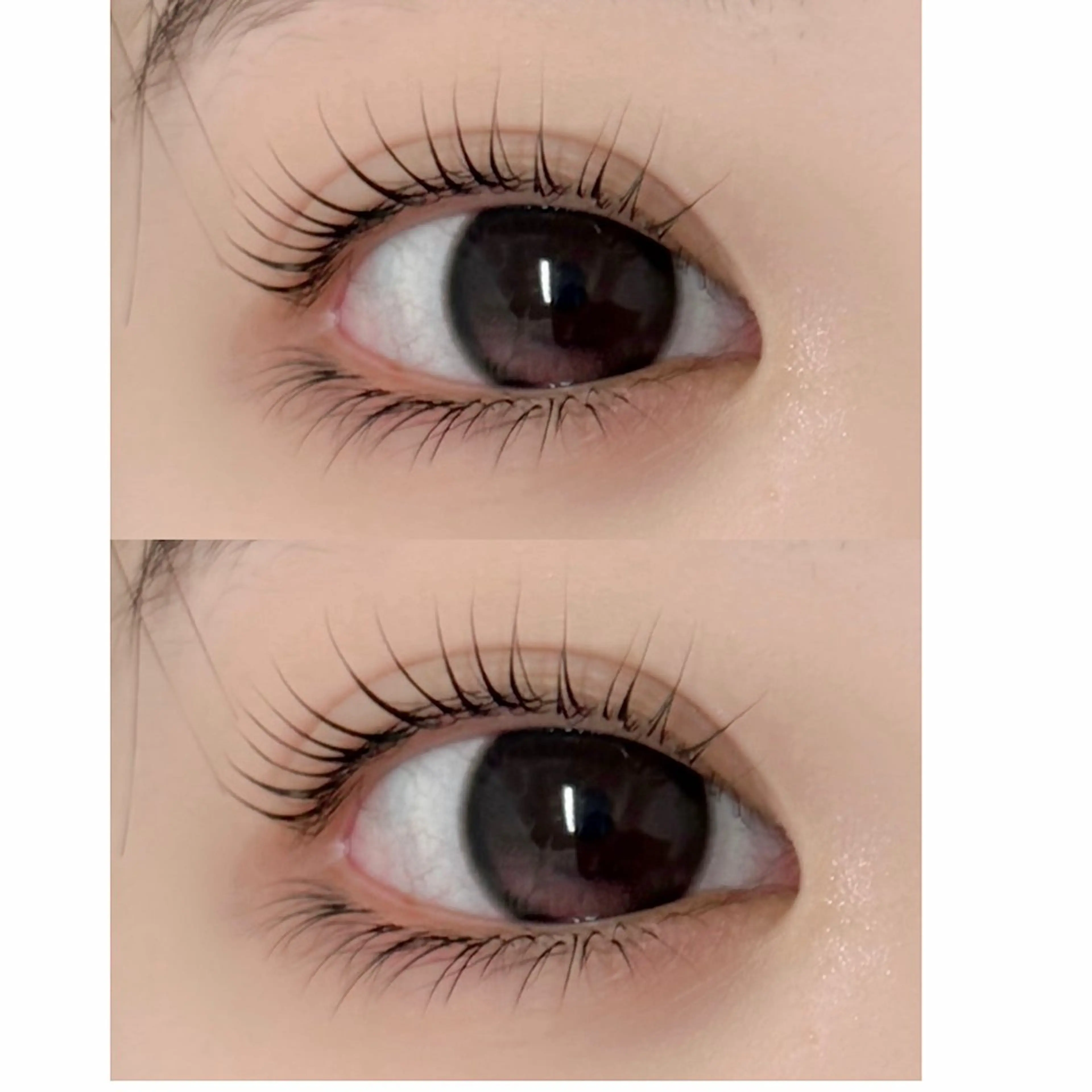 🪻[再来/エクステオフ無し] 上 パリジェンヌラッシュリフト x 下 LEDエクステ30本の写真