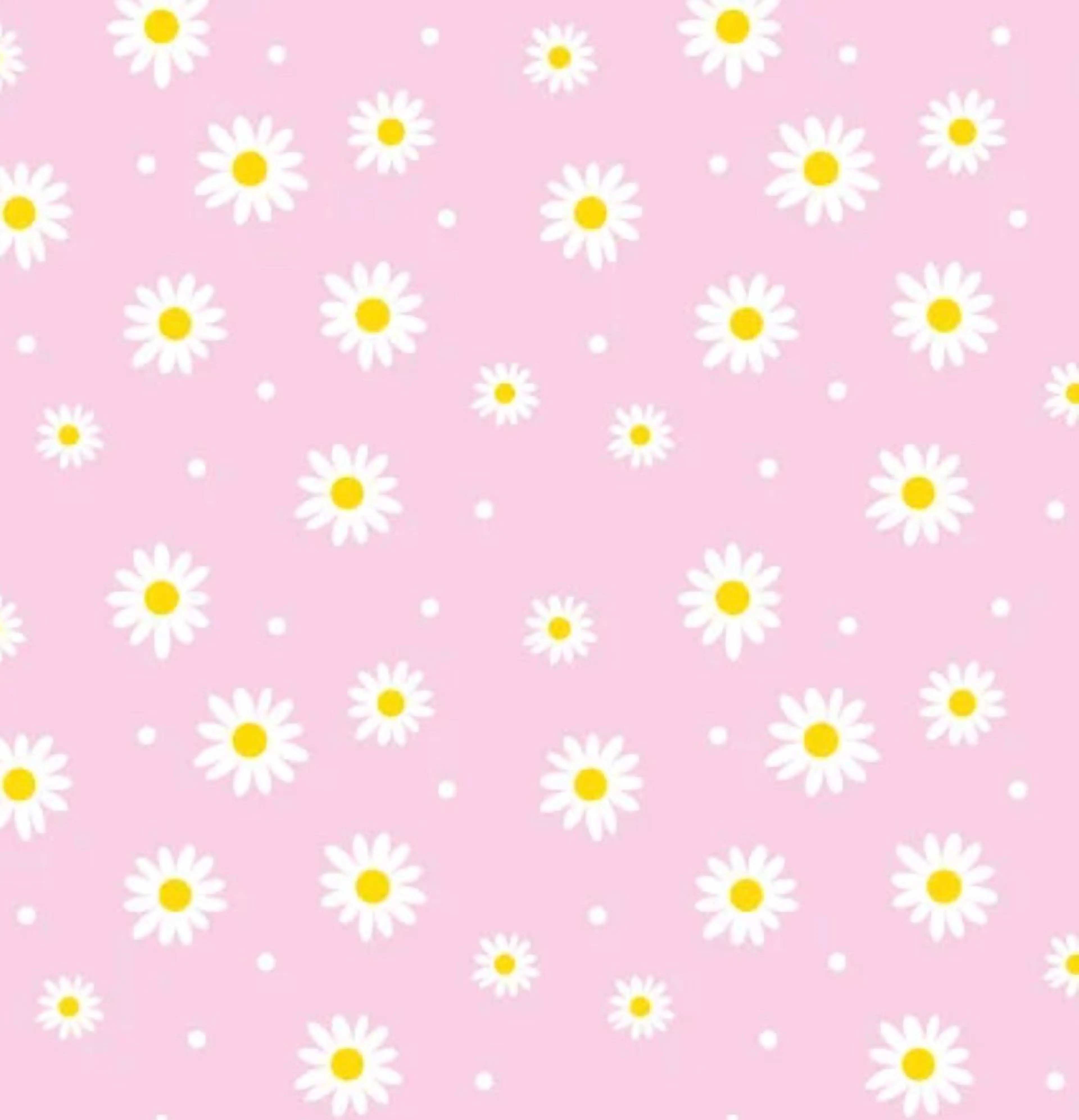 mika akutsuのエステ・リラクイメージ