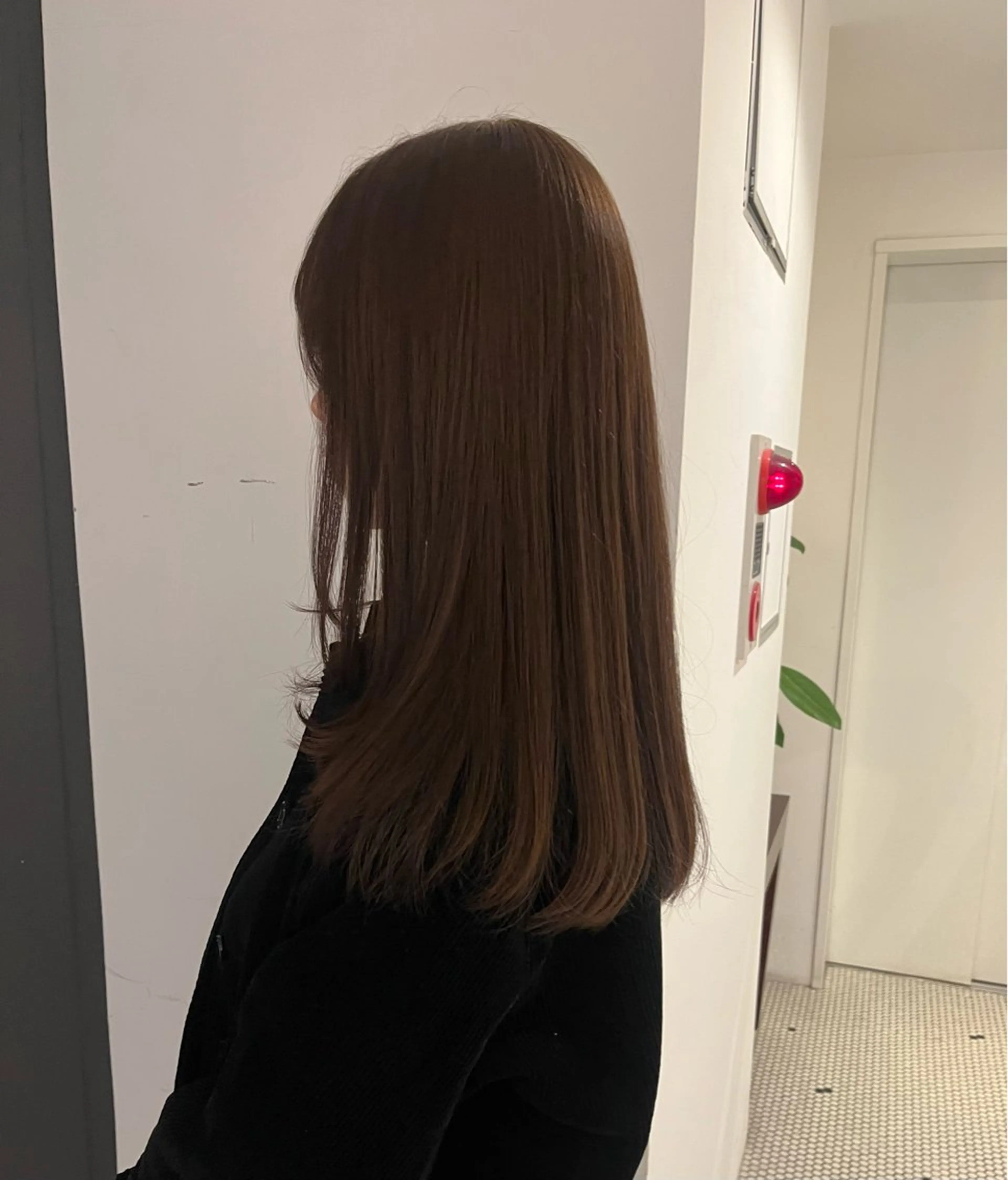 セミロング カット ヘアカラー トリートメント あやか/ベージュ /透け感カラーのヘアスタイル