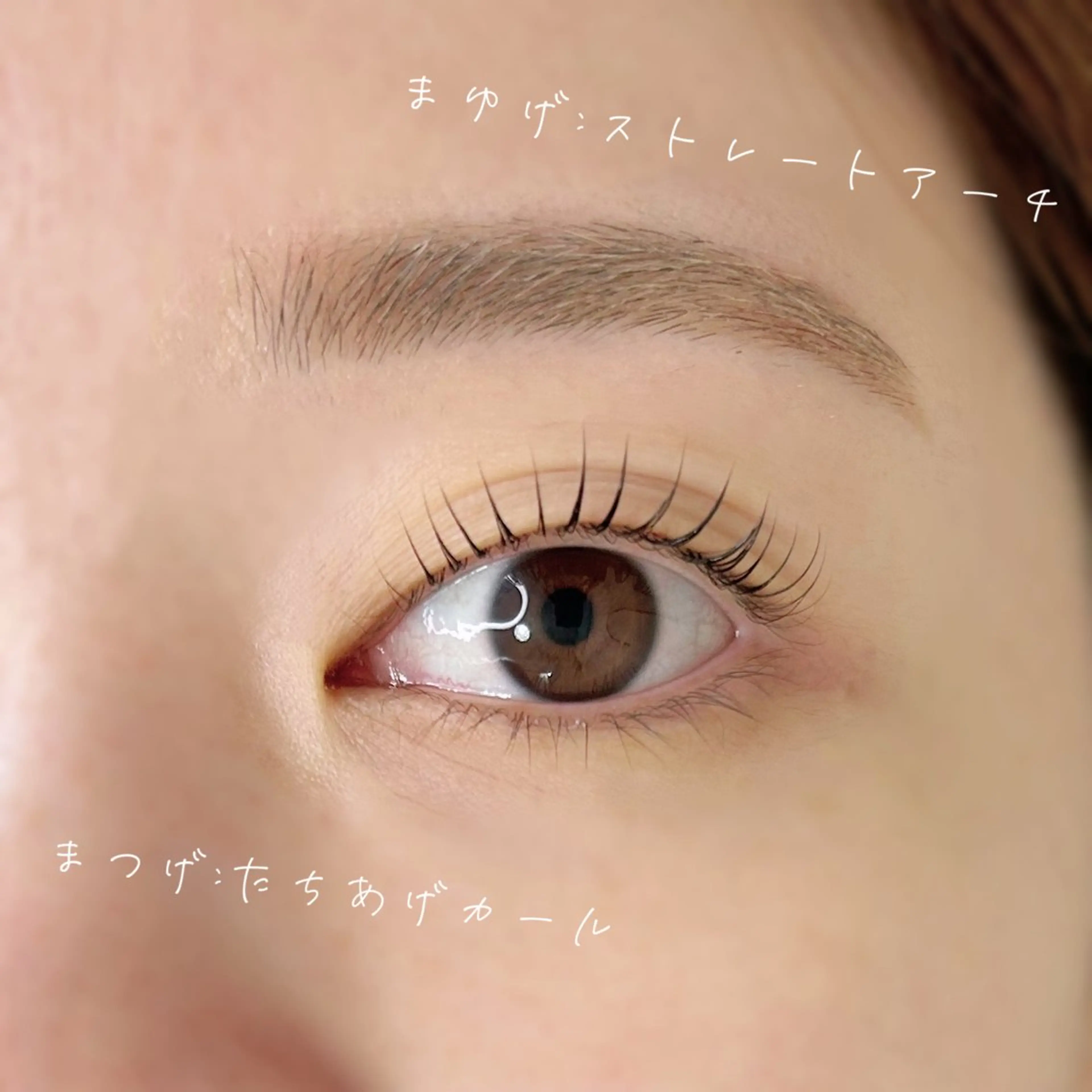 【OPEN記念】まつ毛パーマ×眉毛スタイリングsetの写真