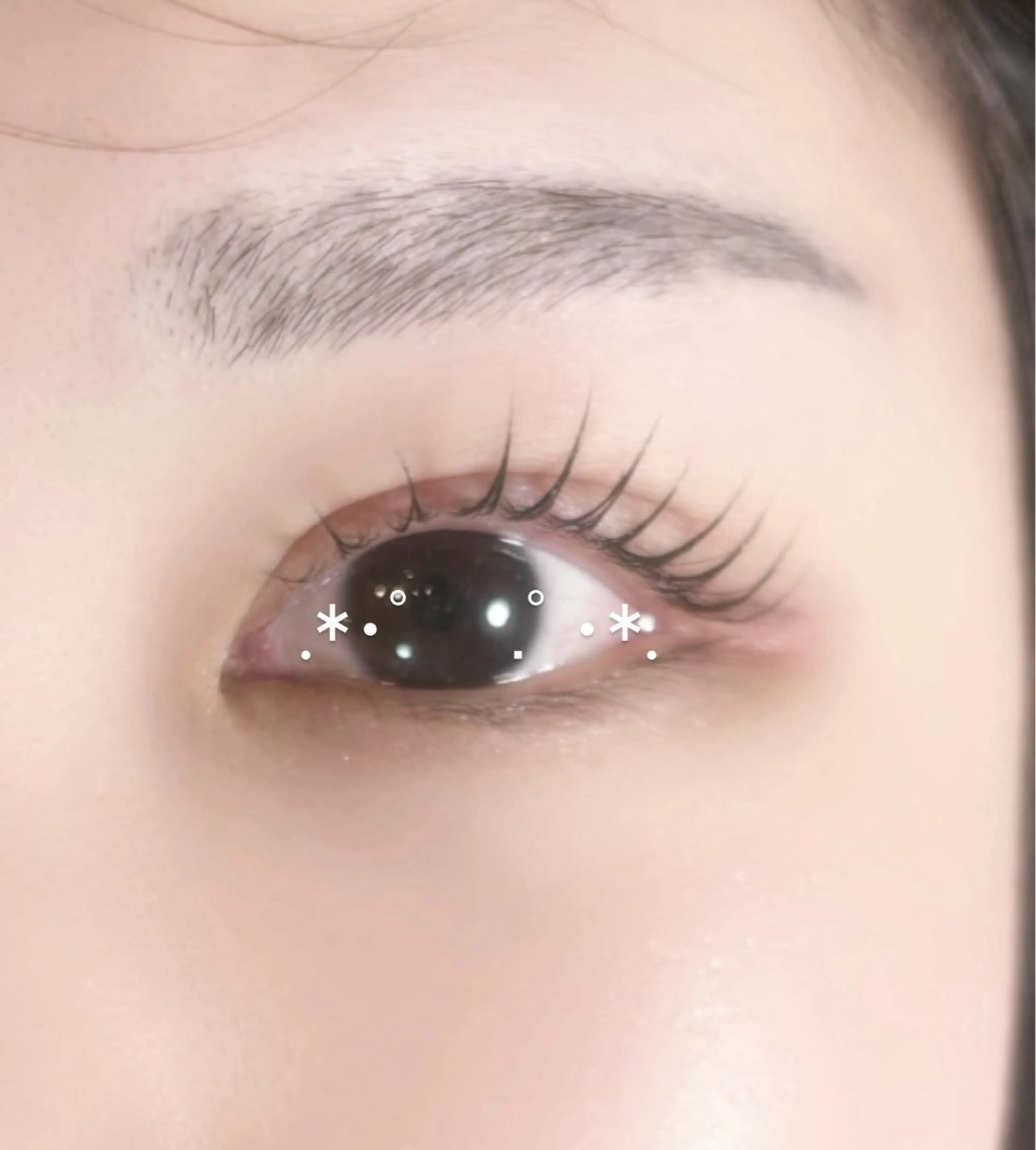 マツエク・マツパ マツパ マリーテレジア 🐨MIURAのマツエク・マツパデザイン