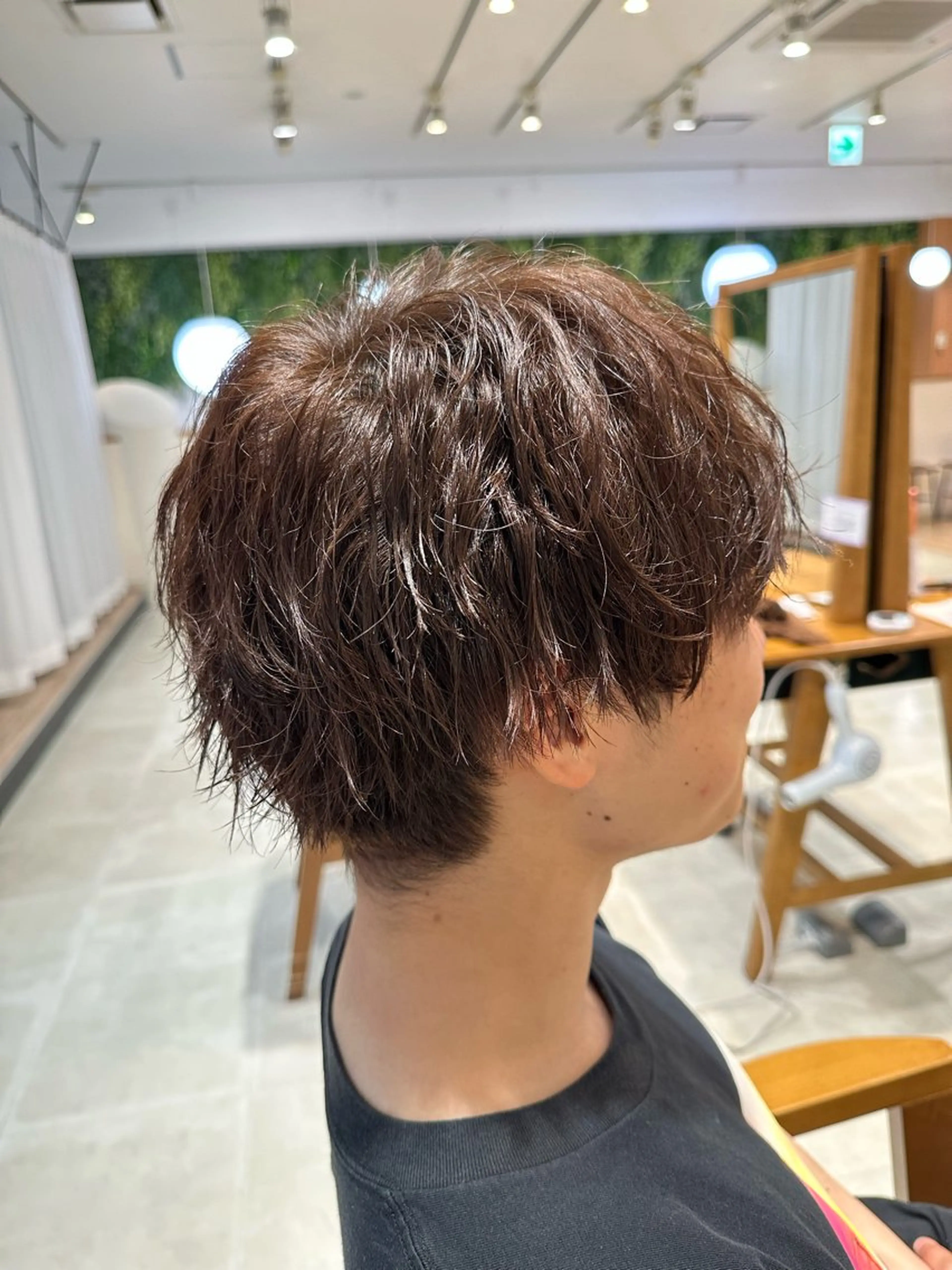 ノーマルカラーのみの写真